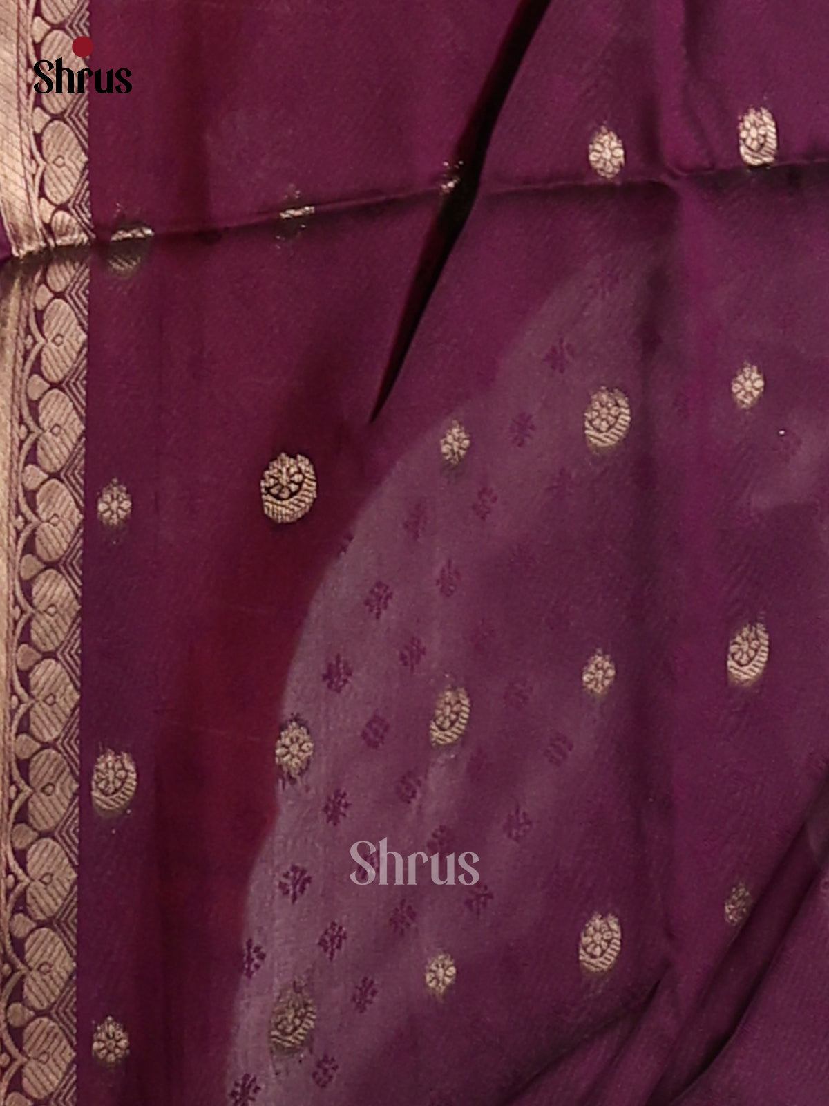 Jamun - Semi Softsilk Saree - Shop on Shrus.com