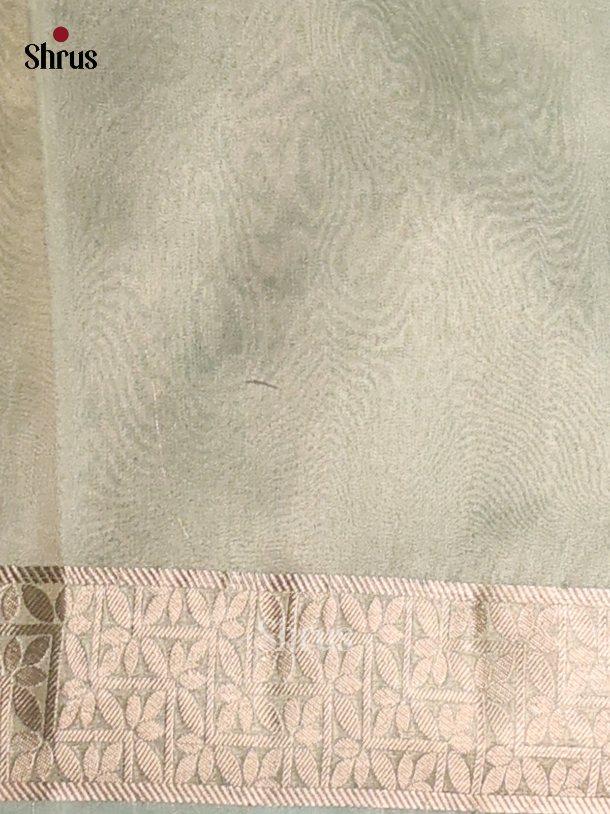 Ice green - Semi Tissue Saree