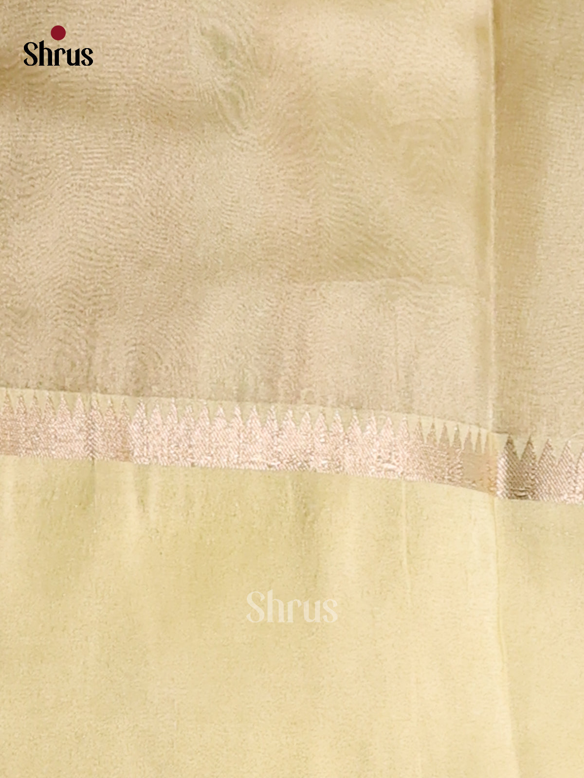 Lite Green - Semi Tissue Saree - Shop on Shrus.com