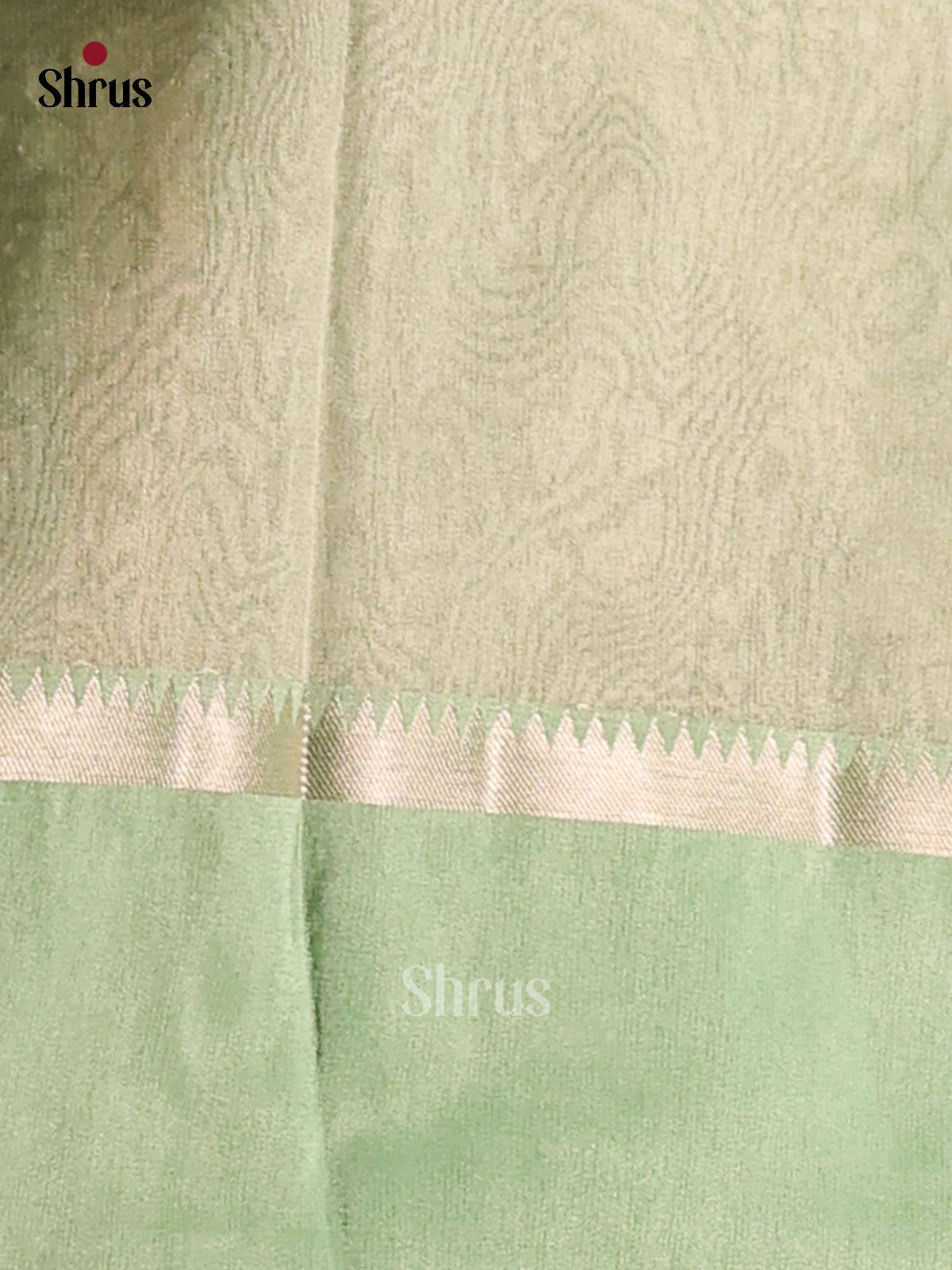 Lite Green  - Semi Tissue Saree - Shop on Shrus.com
