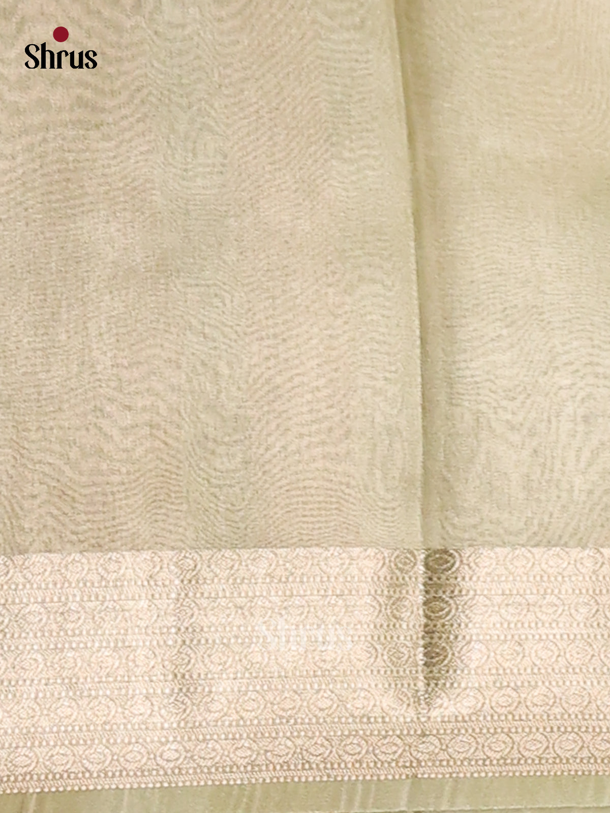 Lite Green - Semi Tissue Saree - Shop on Shrus.com