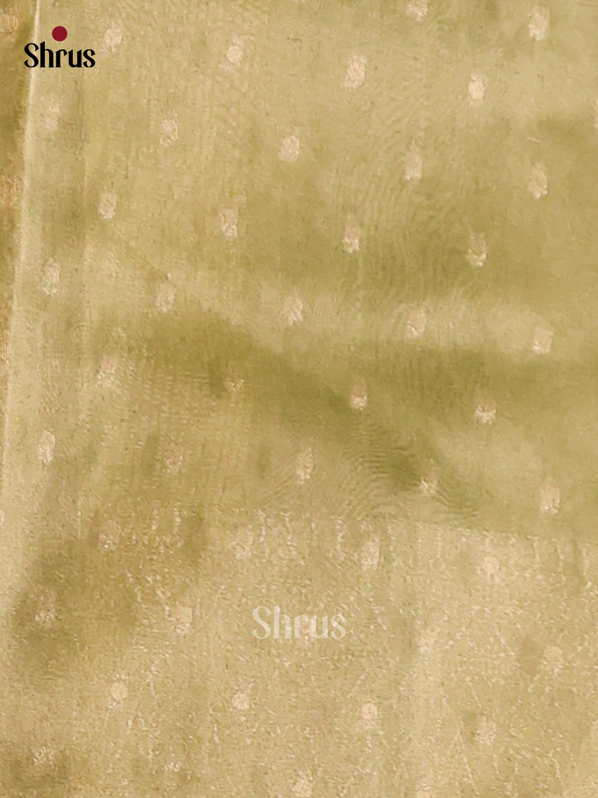 Green - Semi Tissue Saree - Shop on Shrus.com