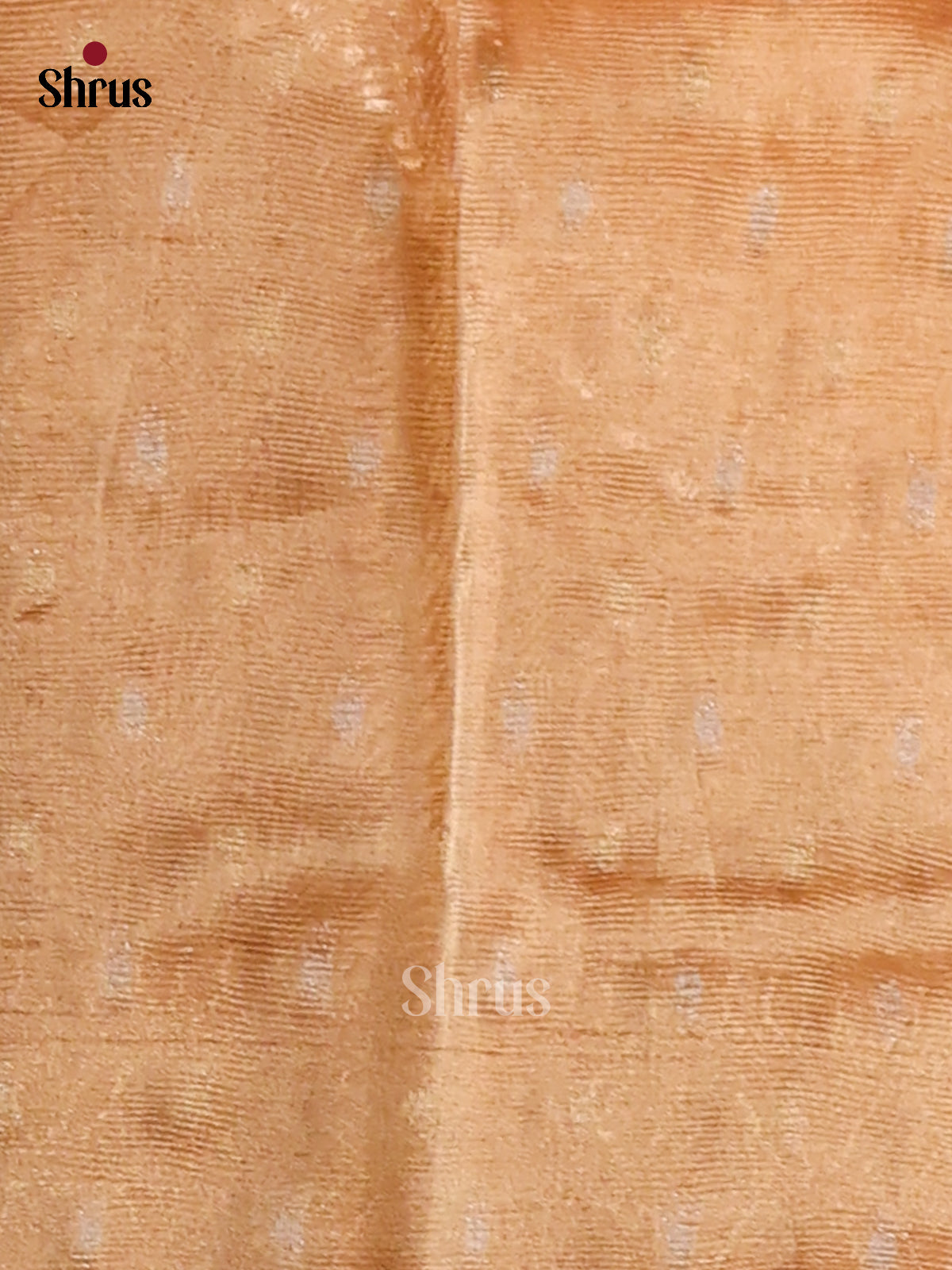 Orange - Semi Tissue Saree