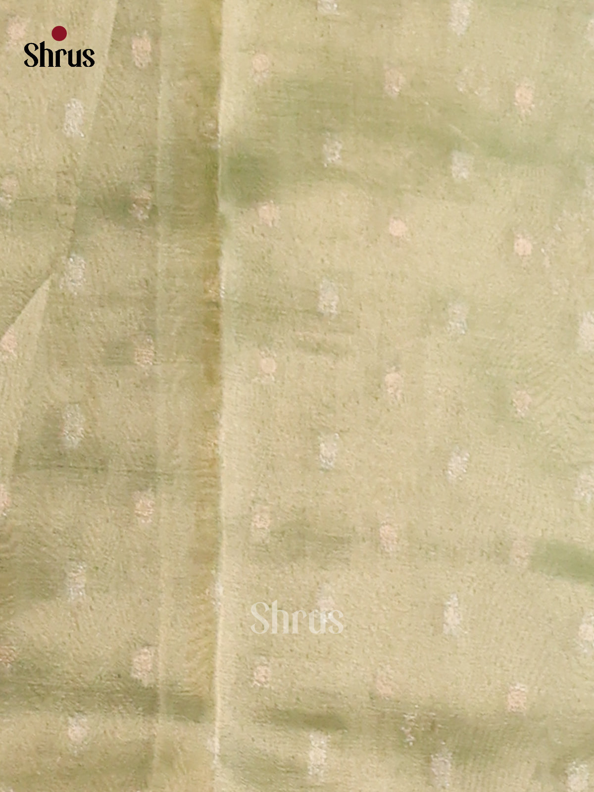 Green  - Semi Tissue Saree
