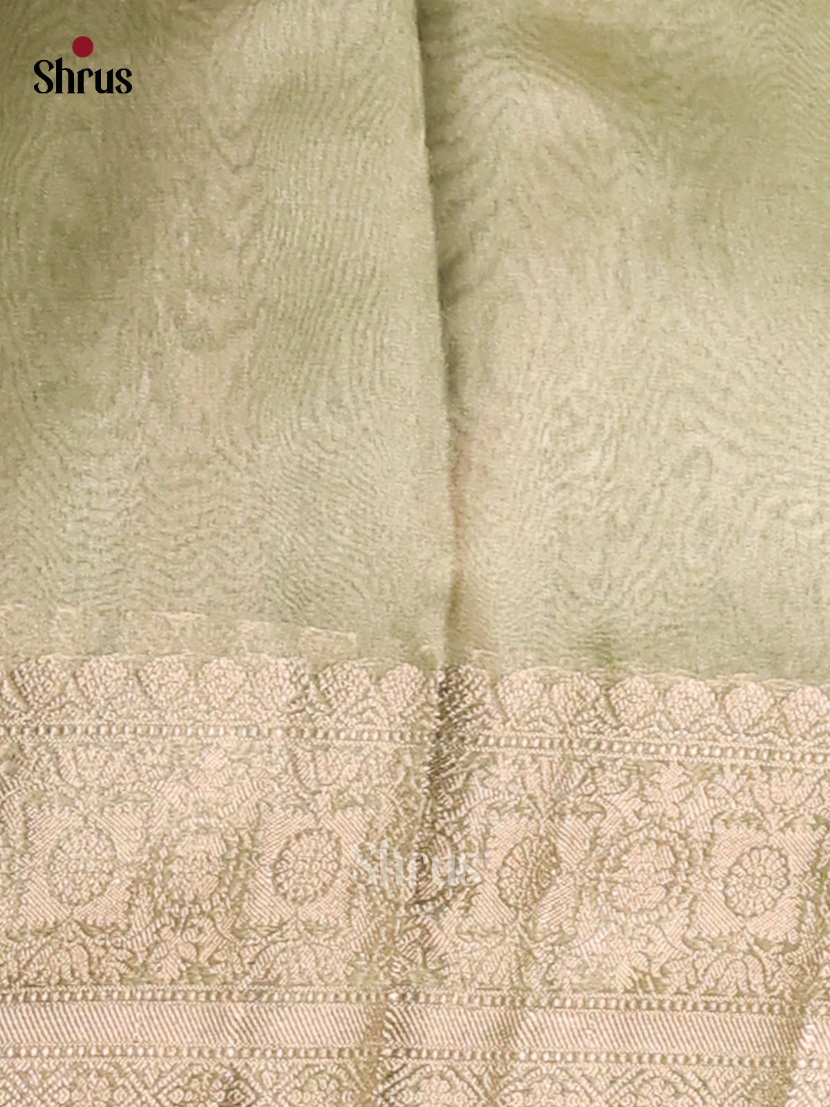 Lite Green  - Semi Tissue Saree