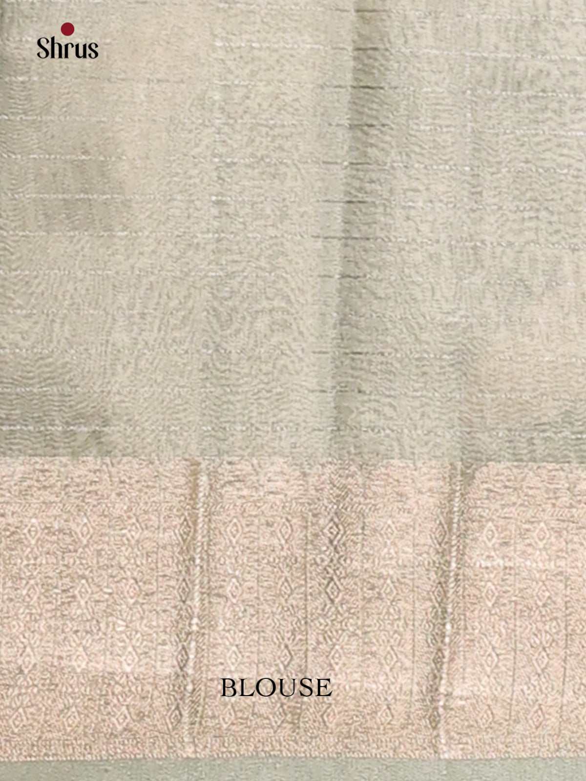 Ice Green - Semi Tissue Saree