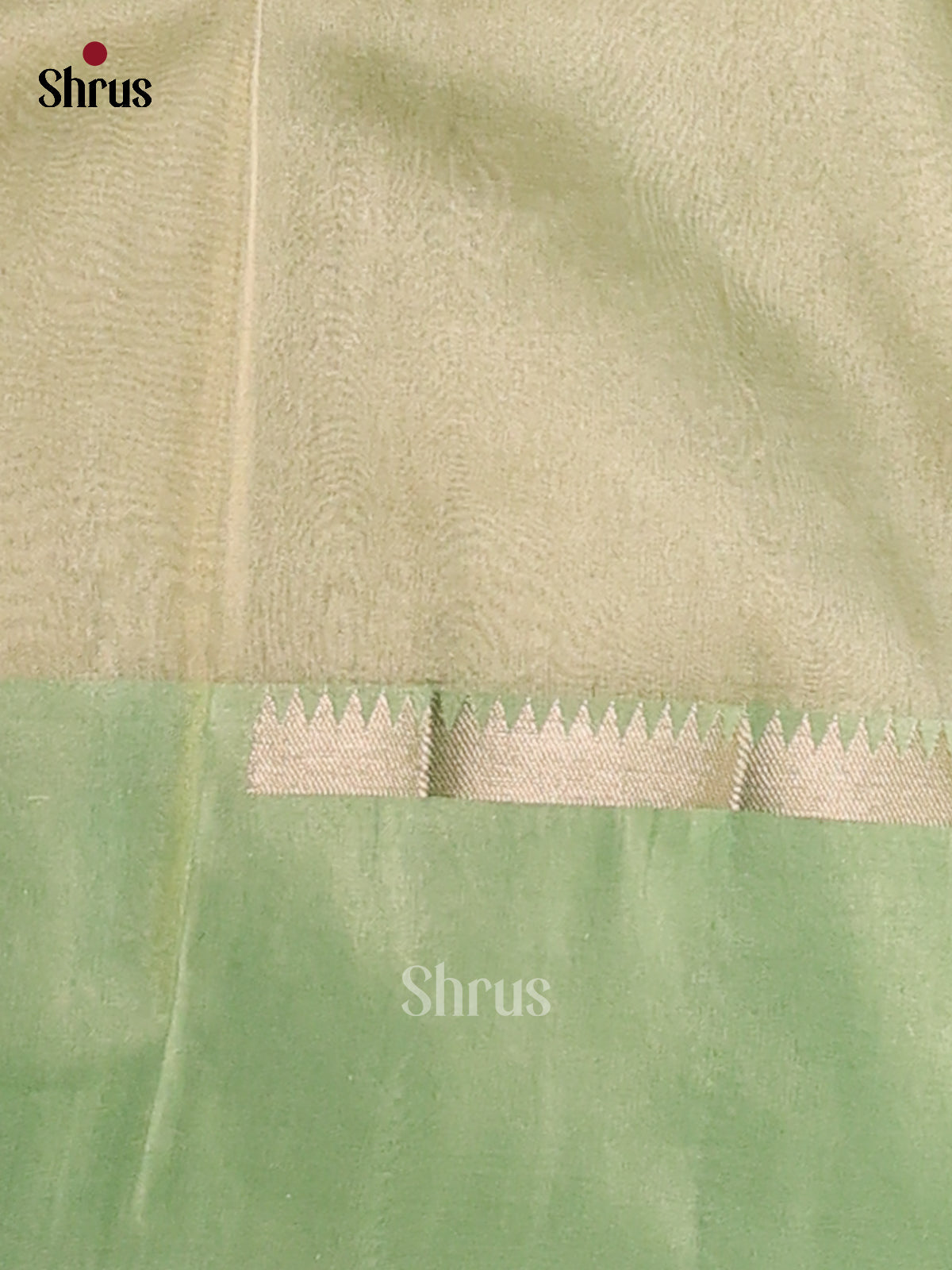 Apple Green - Semi Tissue Saree