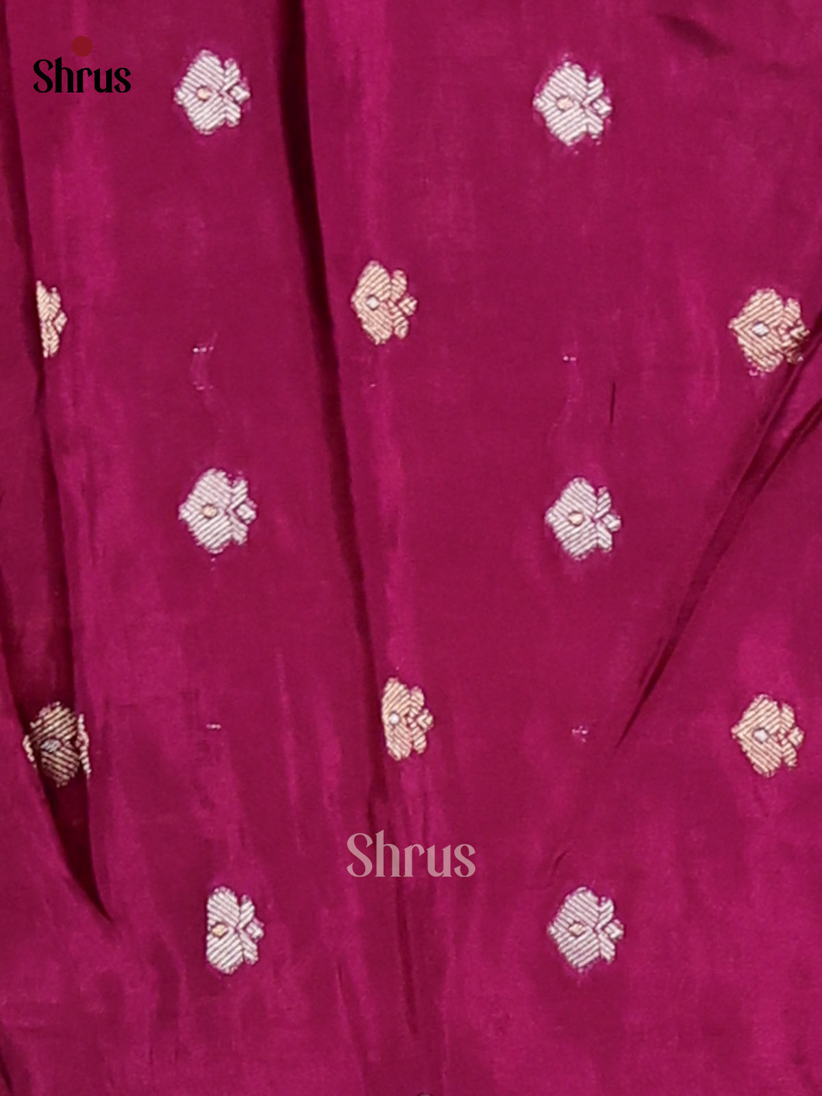 DFS09056 - Chinnon Silk Saree - Shop on Shrus.com