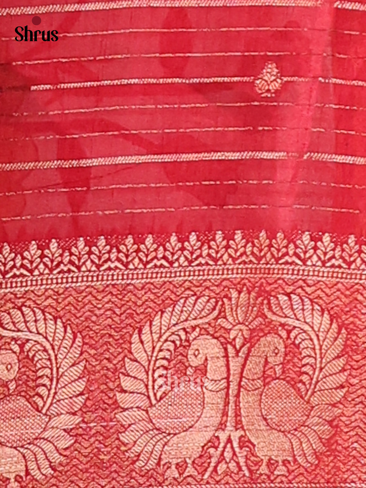 Red & Cream - Semi Mysoresilk Saree - Shop on Shrus.com