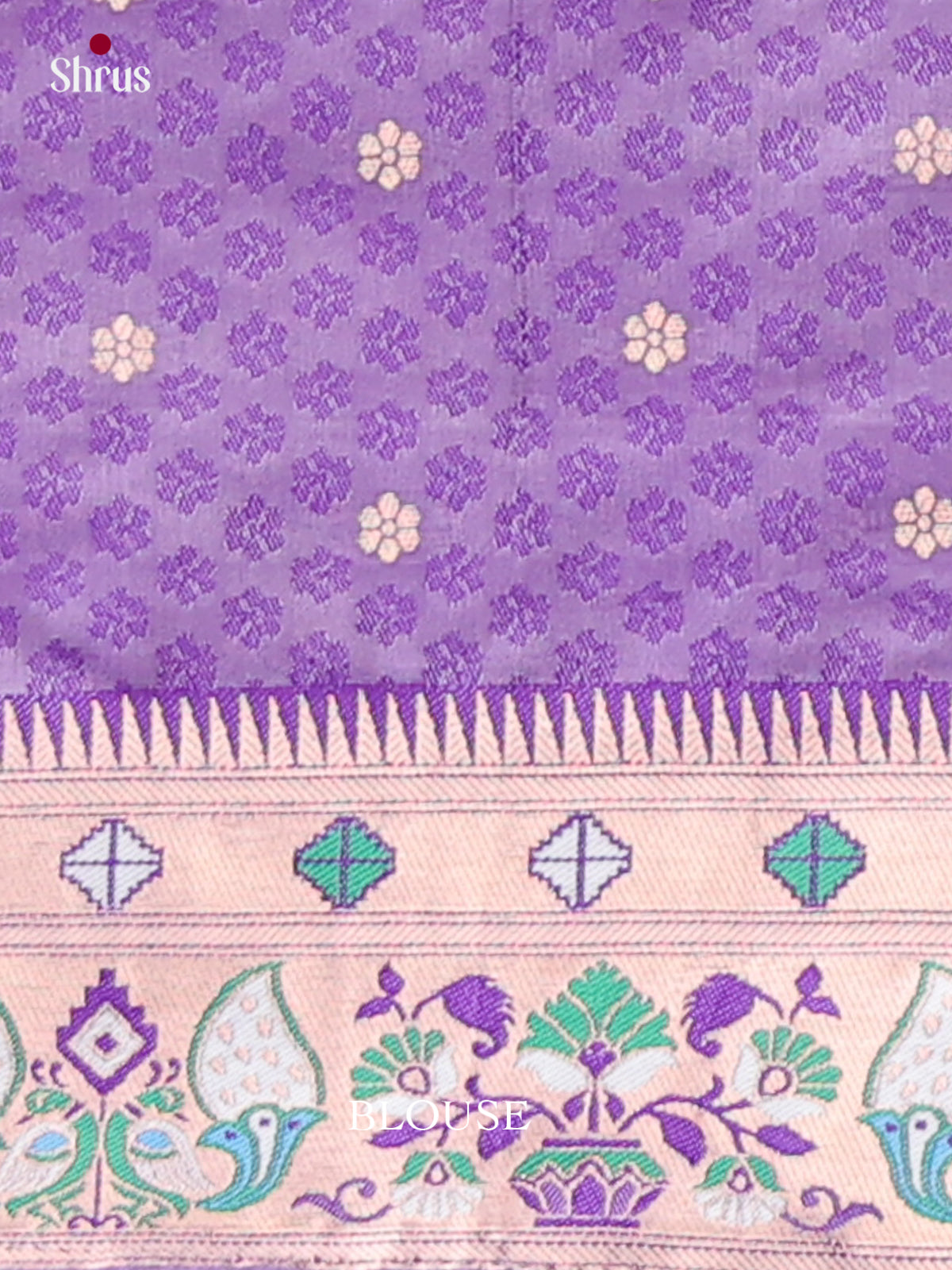 DFS10064 - Semi Paithani