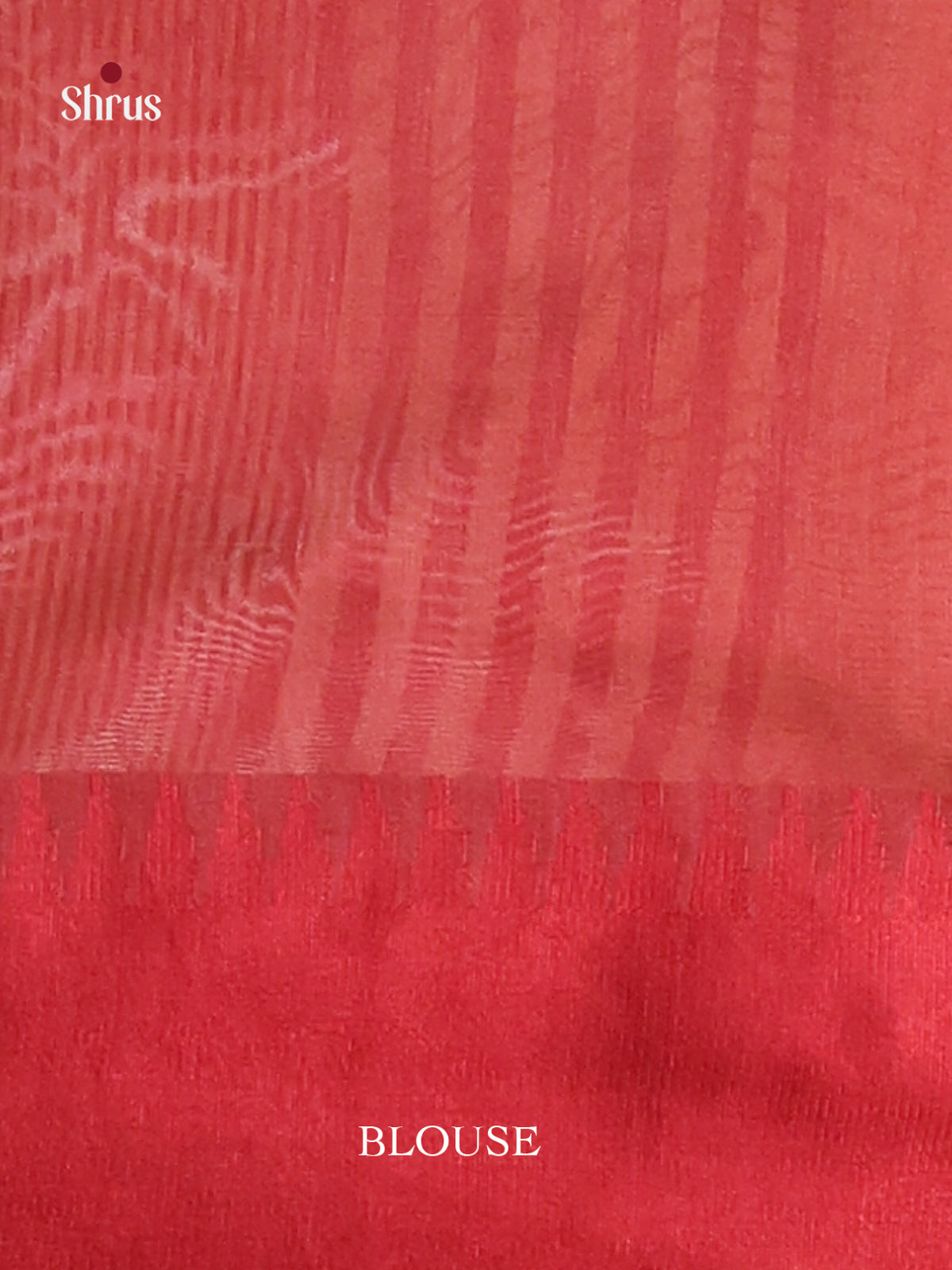 Cream & Red- Champa semitussar Saree