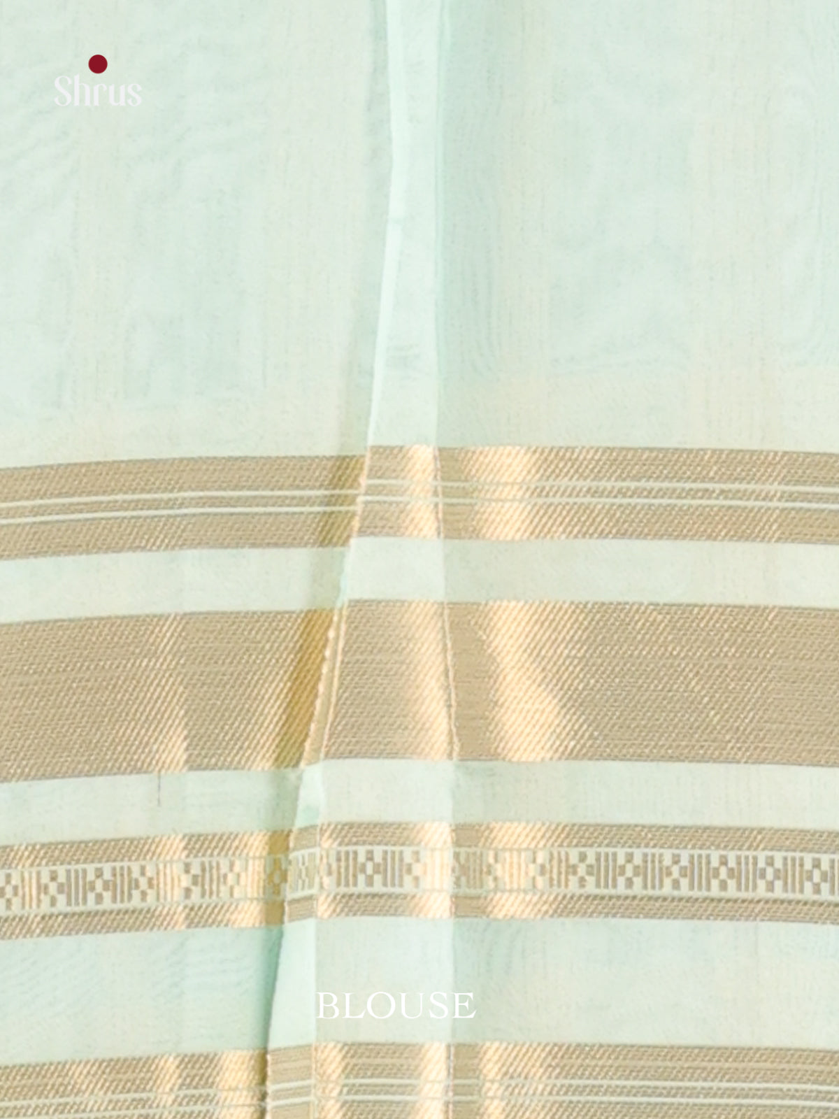 Pastel Blue - Semi Organza Saree