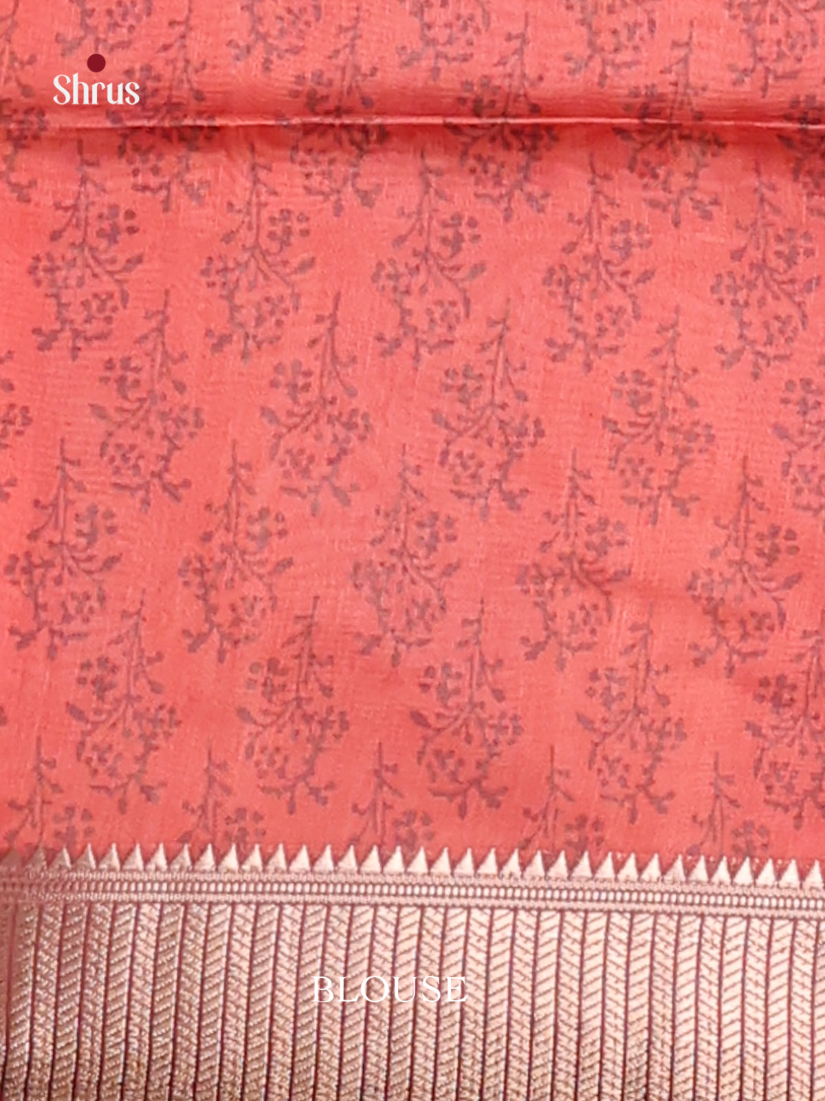 Cream & Arakku Maroon- Champa semitussar Saree