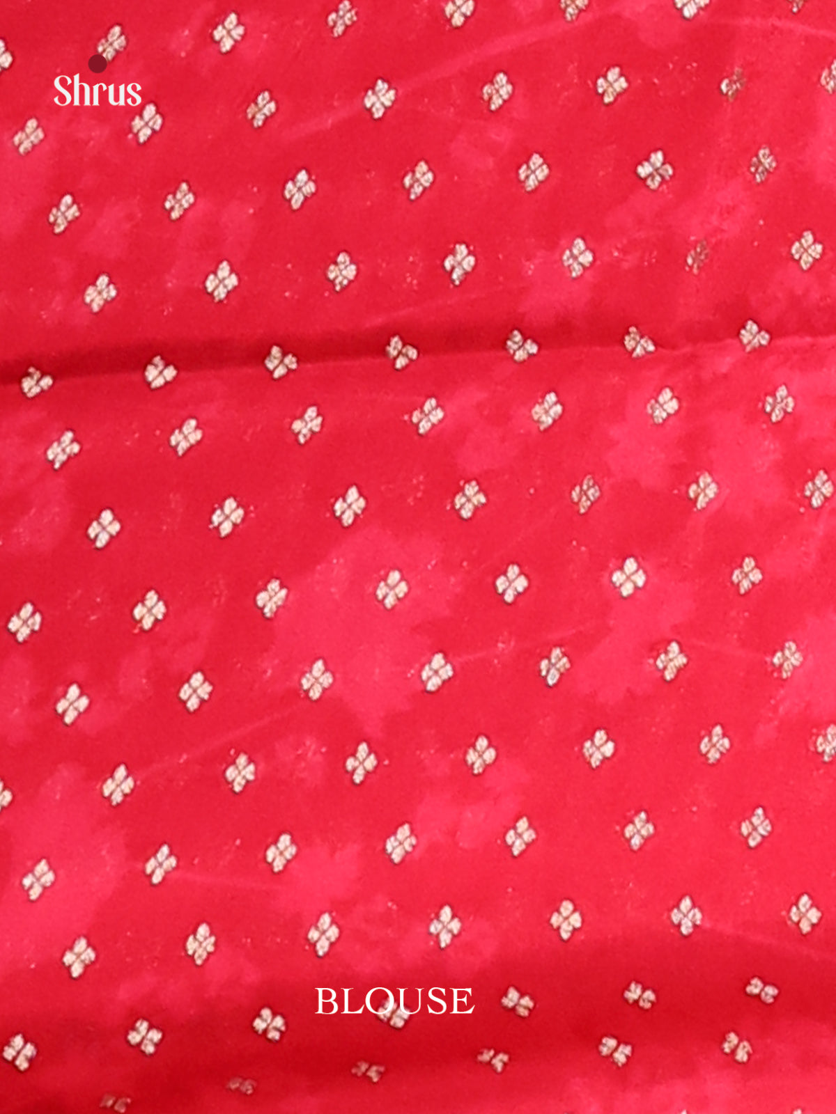 Blue & Red - Semi Organza Saree