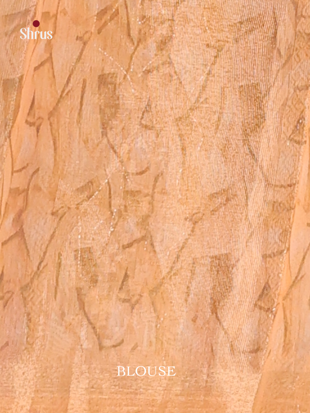 Blue & Brown - Semi Chanderi Saree