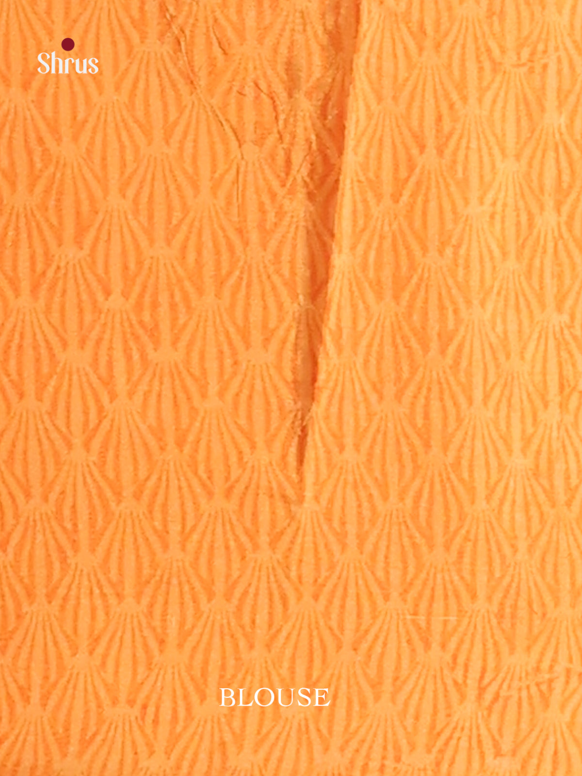 Cream & Orange - Semi Tussar Saree