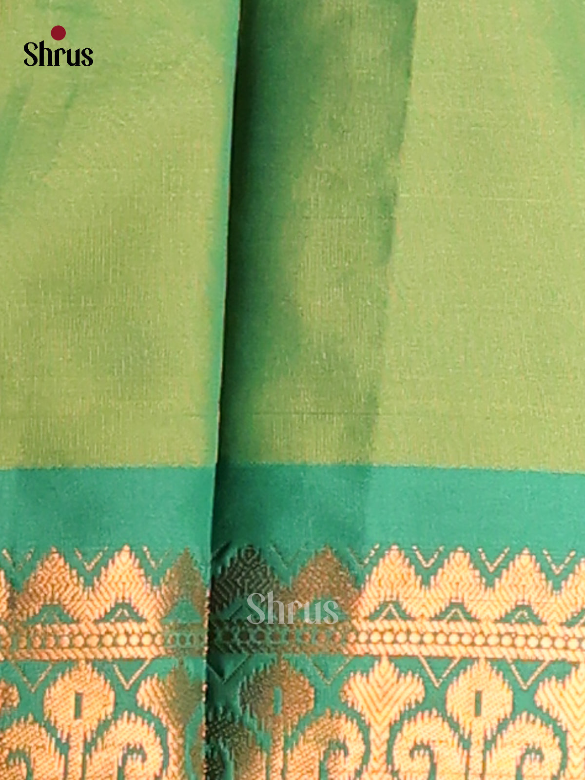 Light Green & Green - Semi Pochampally Saree - Shop on Shrus.com