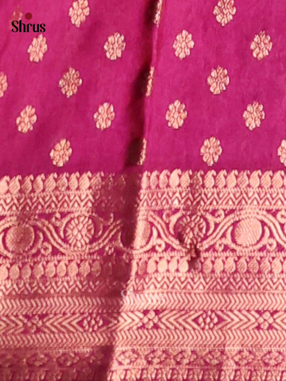 Blue & Purple - NorthSilk Cotton Saree