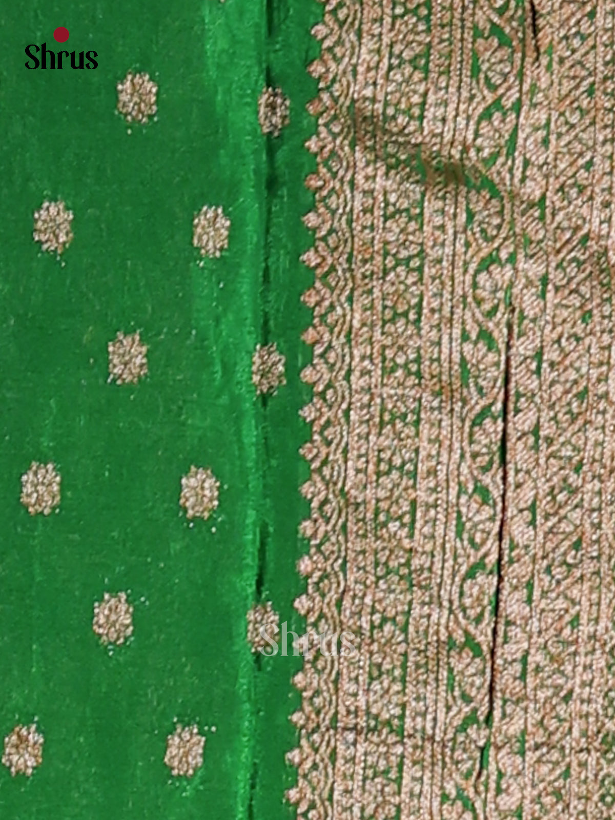 Leaf Green  - Semi Georgette Saree - Shop on Shrus.com
