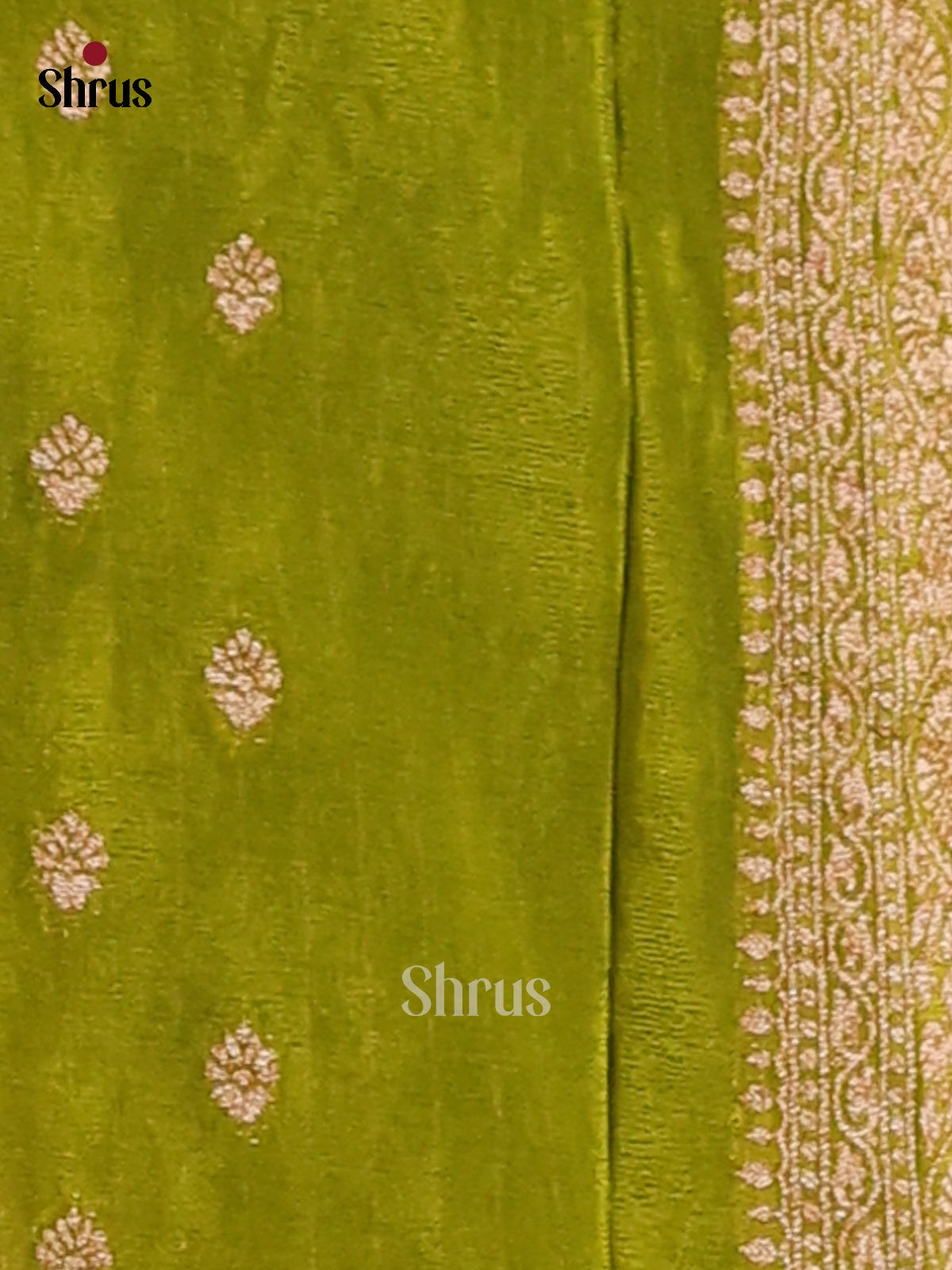 Light Green - Semi Georgette Saree - Shop on Shrus.com