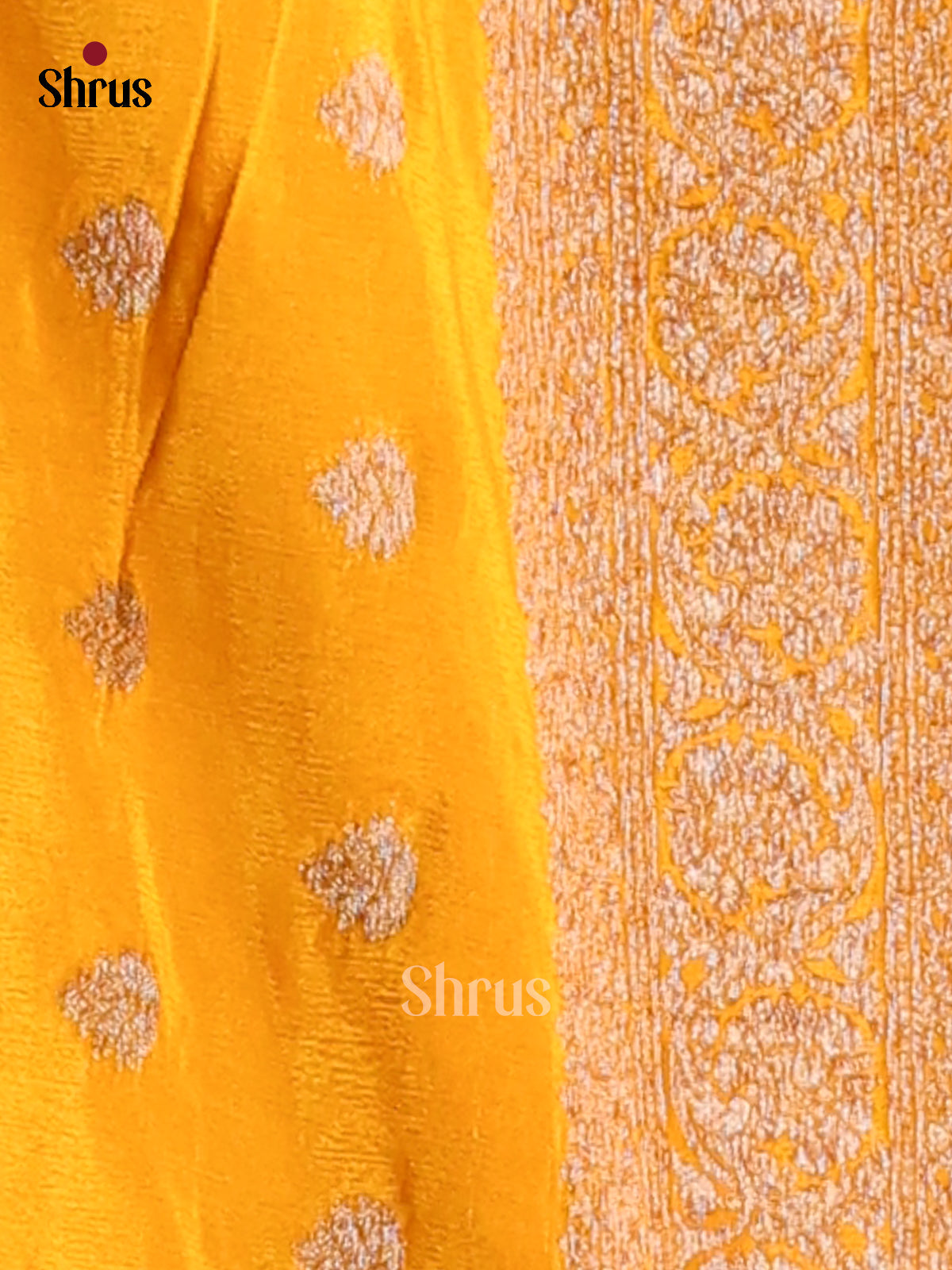 Mustard - Semi Georgette Saree - Shop on Shrus.com