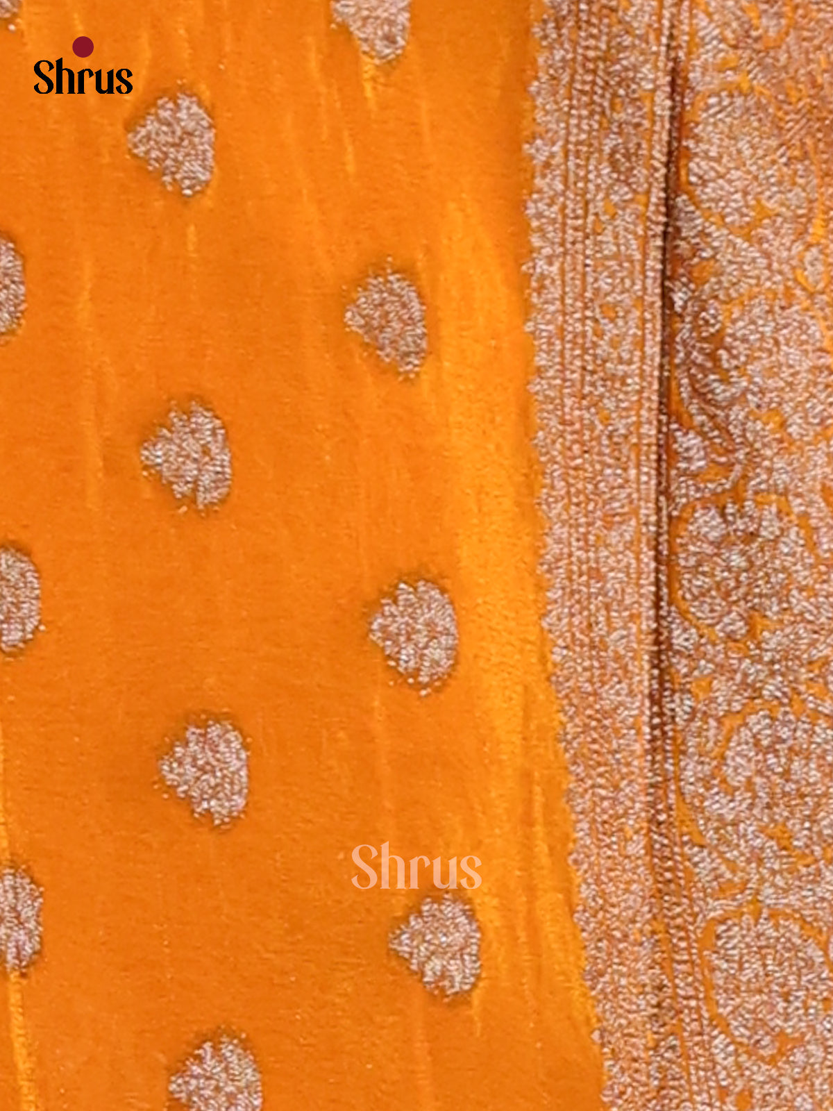 Mustard - Semi Georgette Saree - Shop on Shrus.com