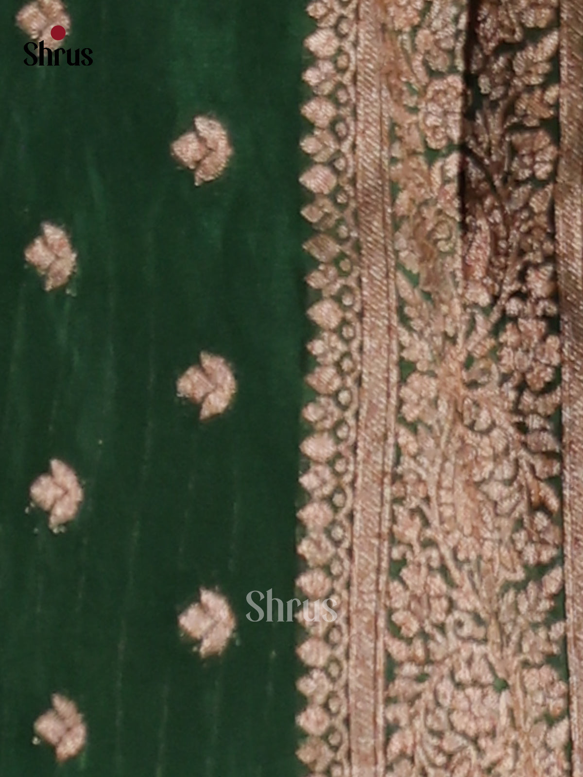 Green(Single Tone) - Semi Georgette Saree - Shop on Shrus.com