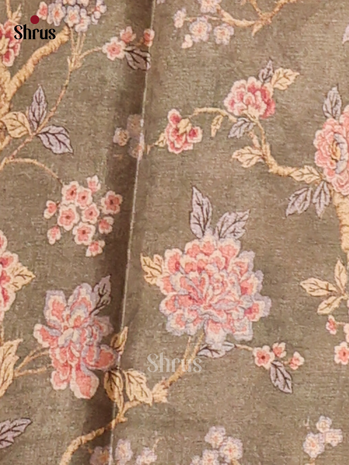 Cream & Grey - Butter silk Saree