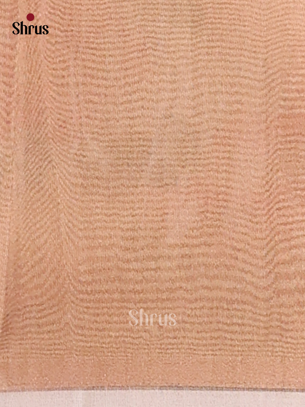 Cream & Brown - Semi Tissue Print Saree