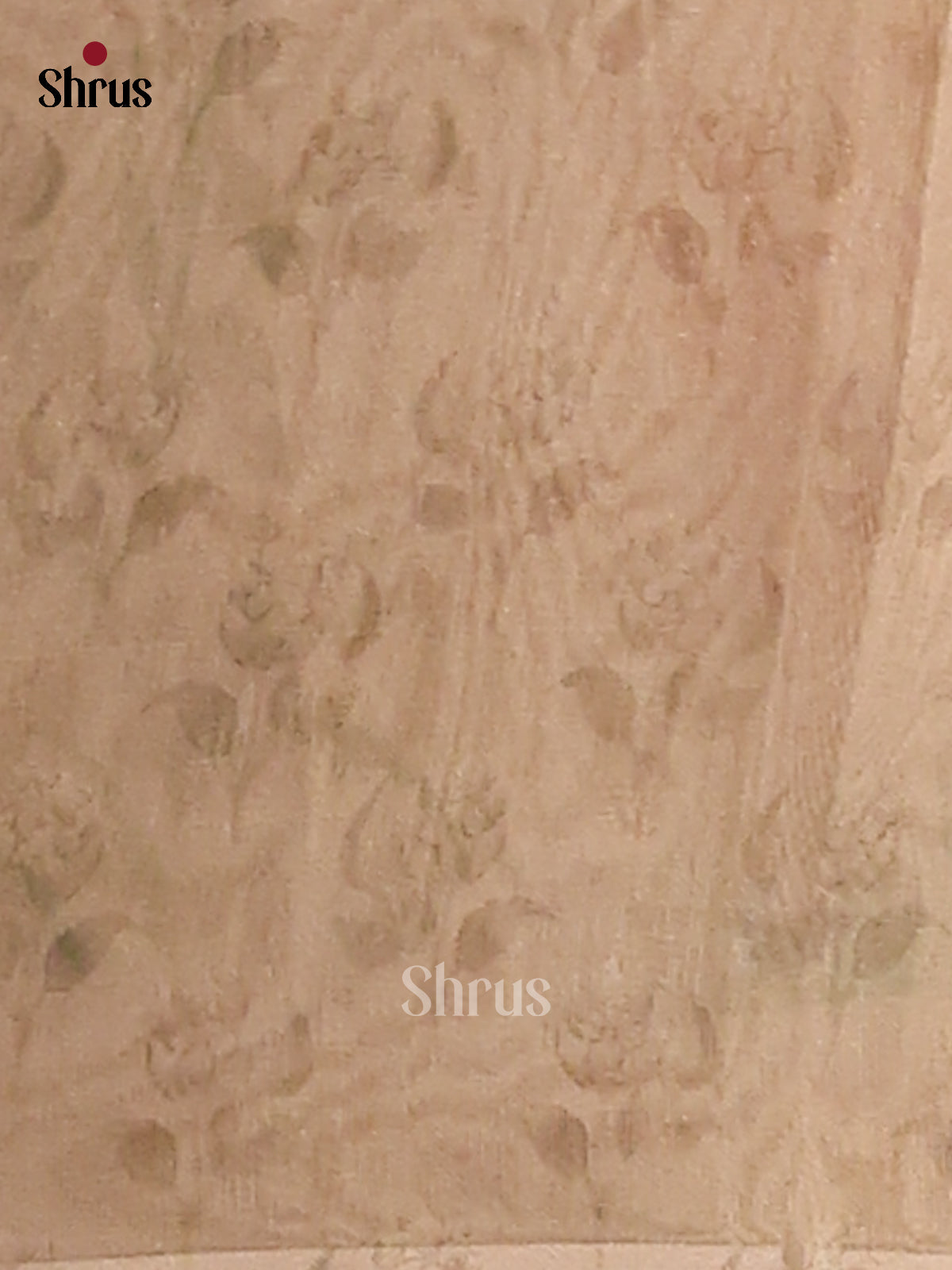 Cream - Semi Tissue Print Saree