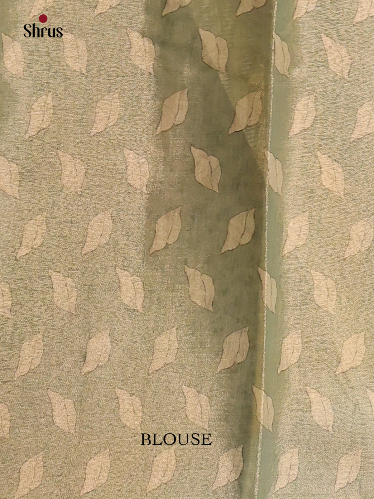 green - Semi Tissue Print Saree