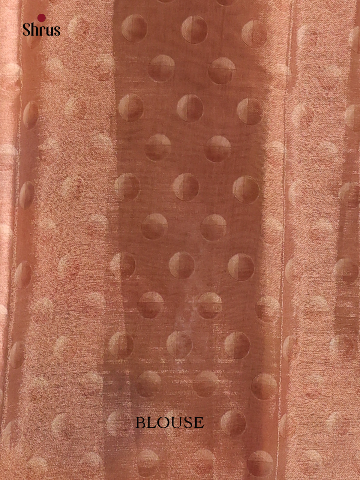 Green & Brown- Semi Tissue Print Saree