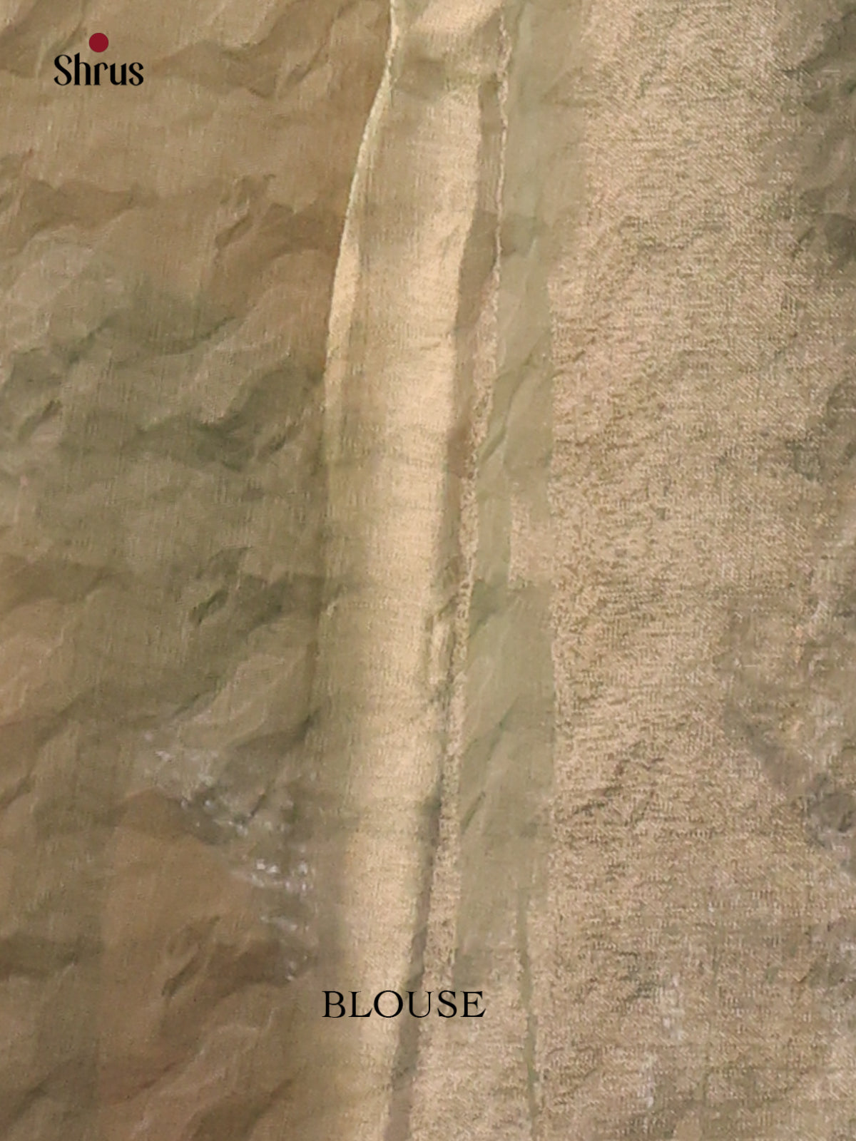 Elachi Green - Semi Tissue Print Saree