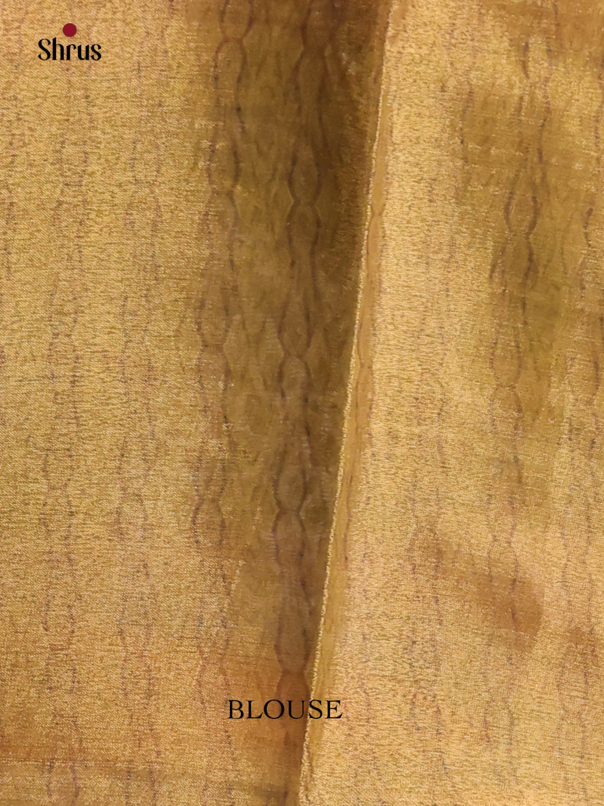 Grey & Green - Semi Tissue Print Saree