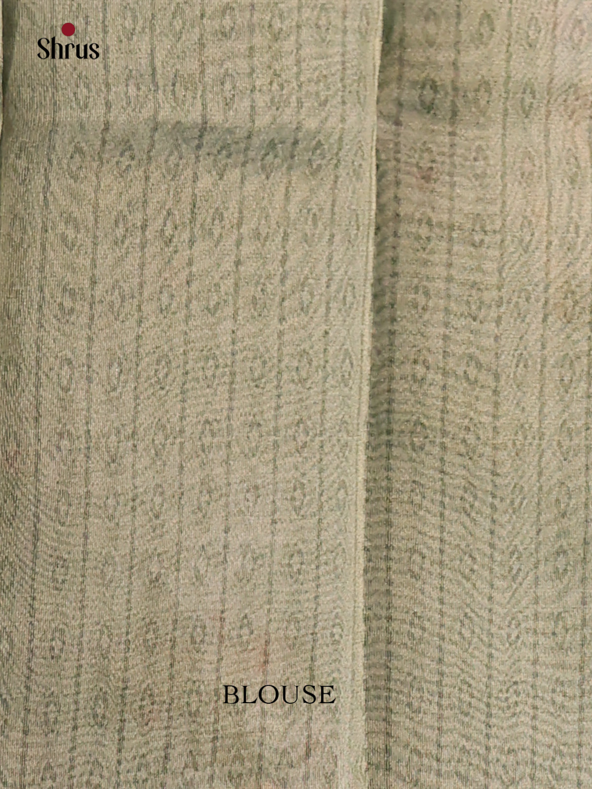 Grey Green - Semi Tissue Print Saree