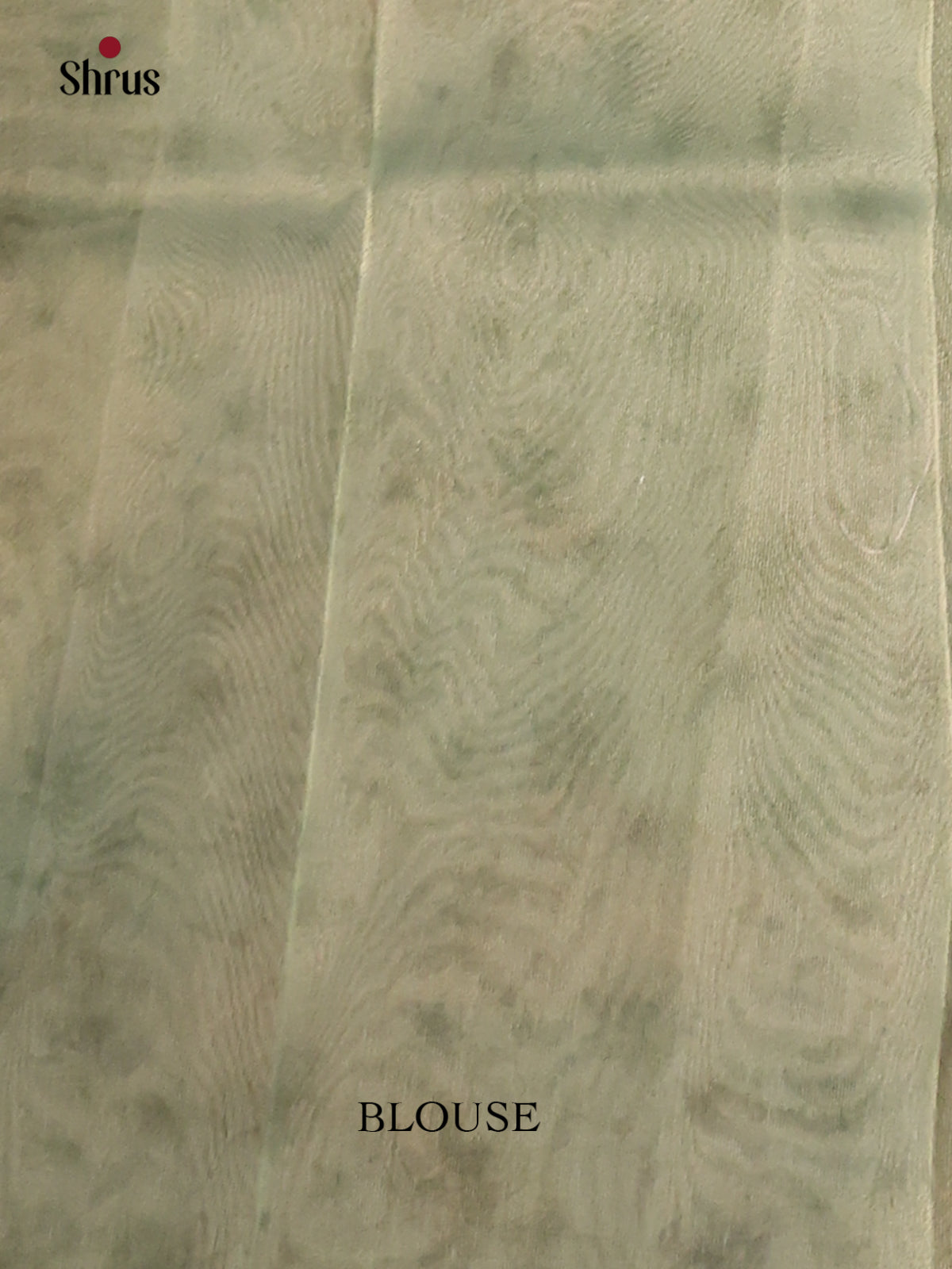 Ice Green - Semi Tissue Print Saree
