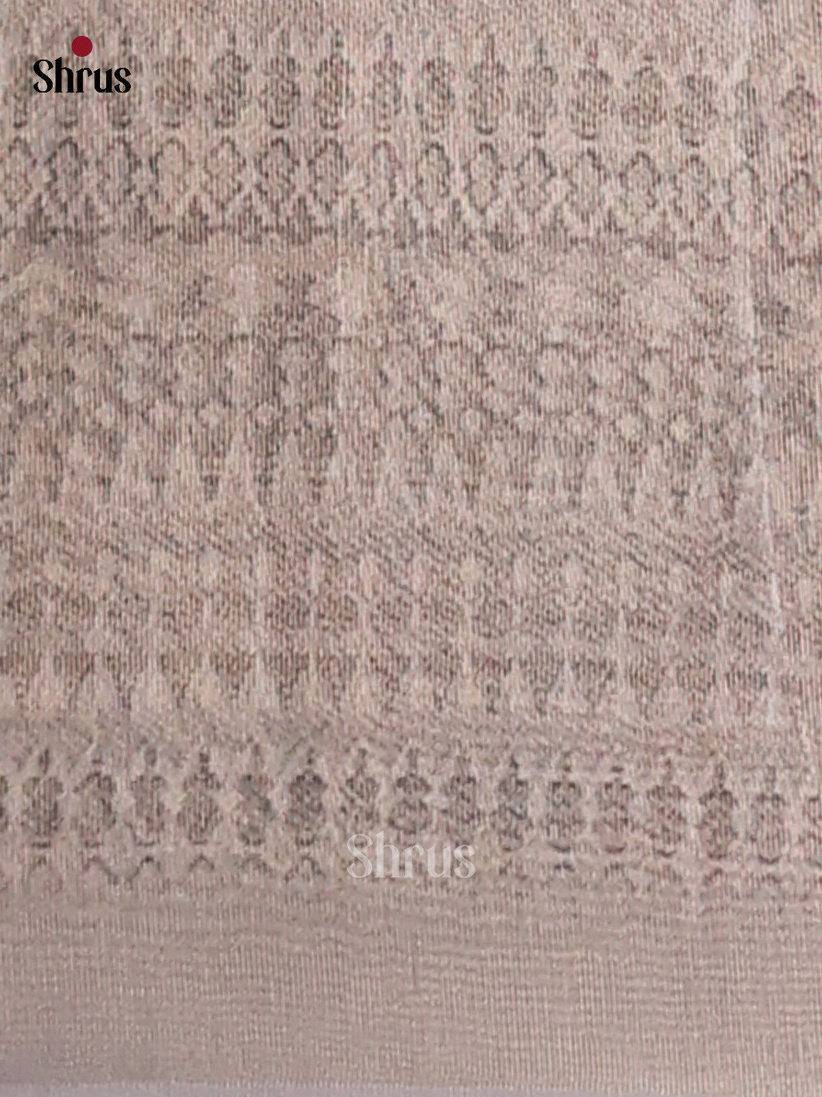 Brown & Blue - Semi Tissue Print Saree