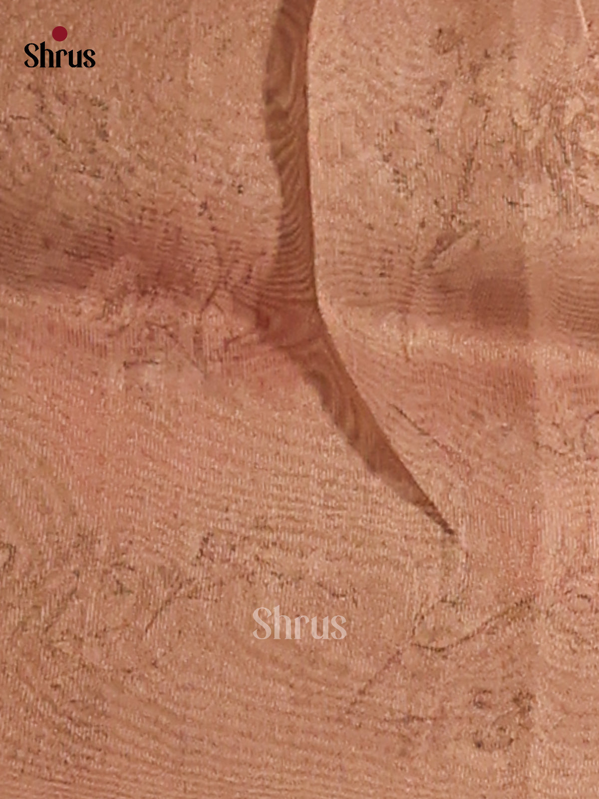 Brown - Semi Tissue Print Saree