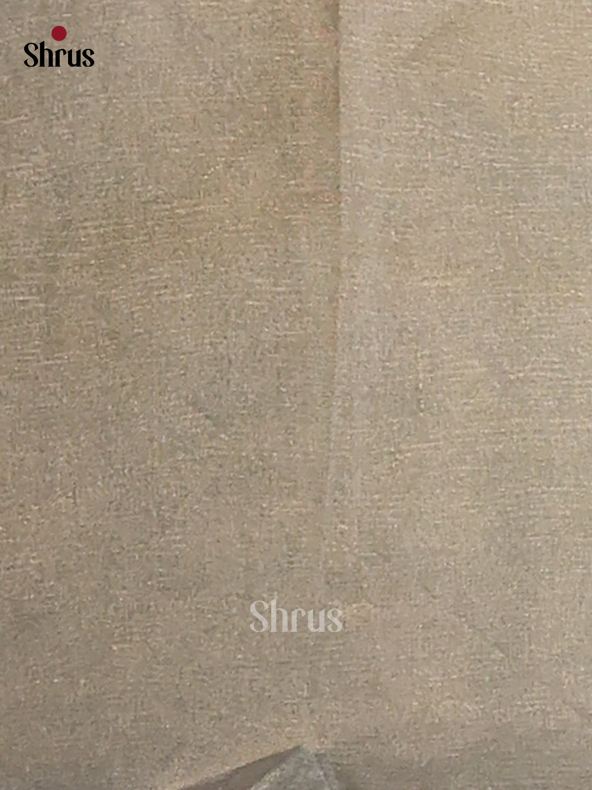 Grey Green - Semi Tissue Print Saree