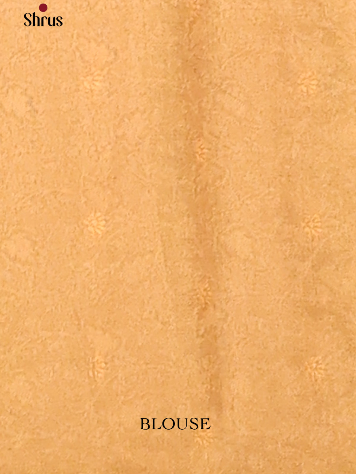 Dusty Pink & Gold - chennur-kalamkari  Saree - Shop on Shrus.com