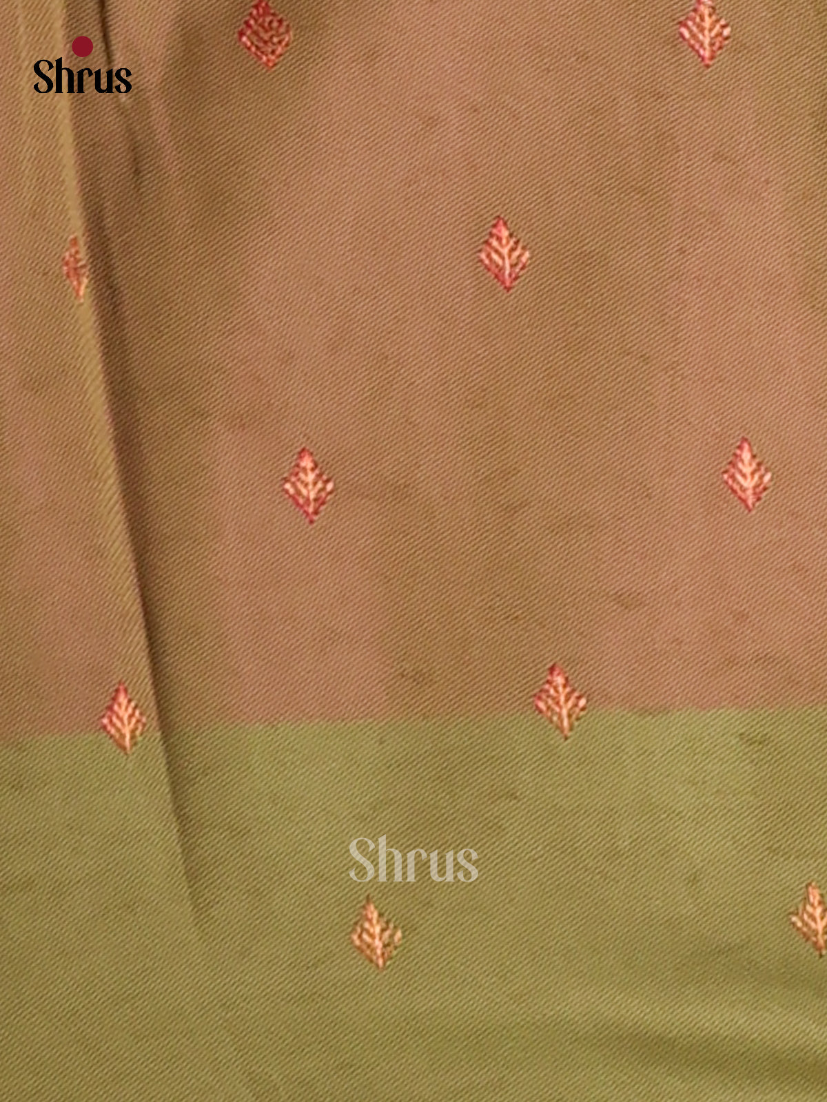 Pink & Green- Semi Softsilk Saree - Shop on Shrus.com