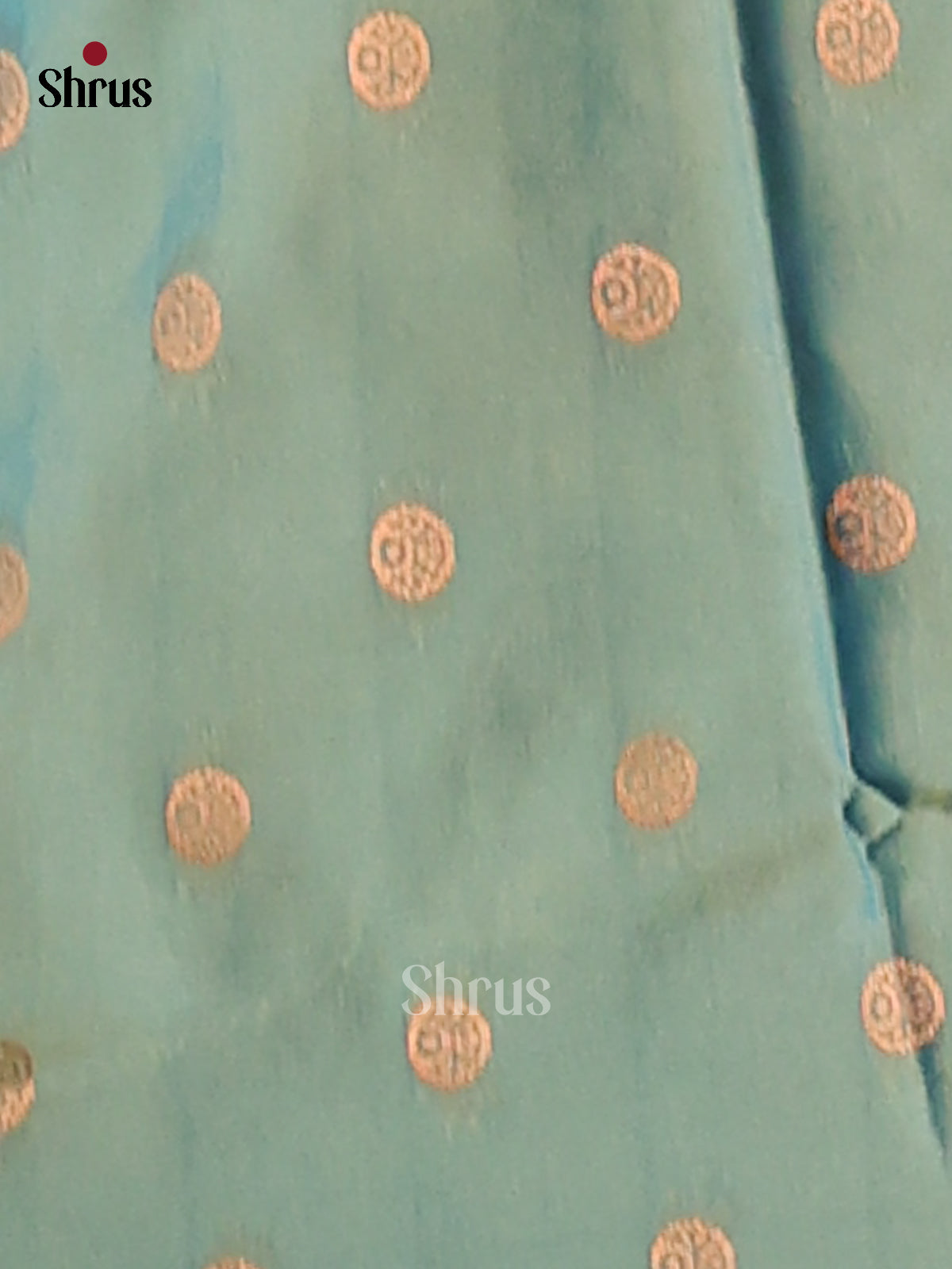 Light Green & Green- Semi Softsilk Saree - Shop on Shrus.com