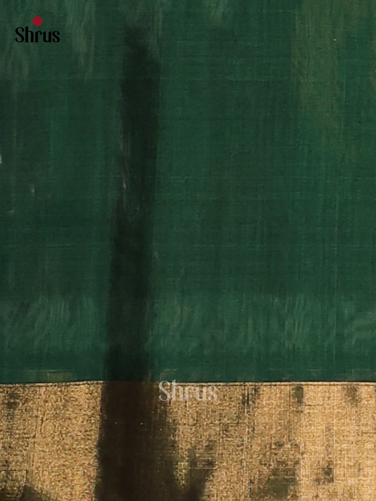 DGS07017 - Pochampally sico Saree - Shop on Shrus.com