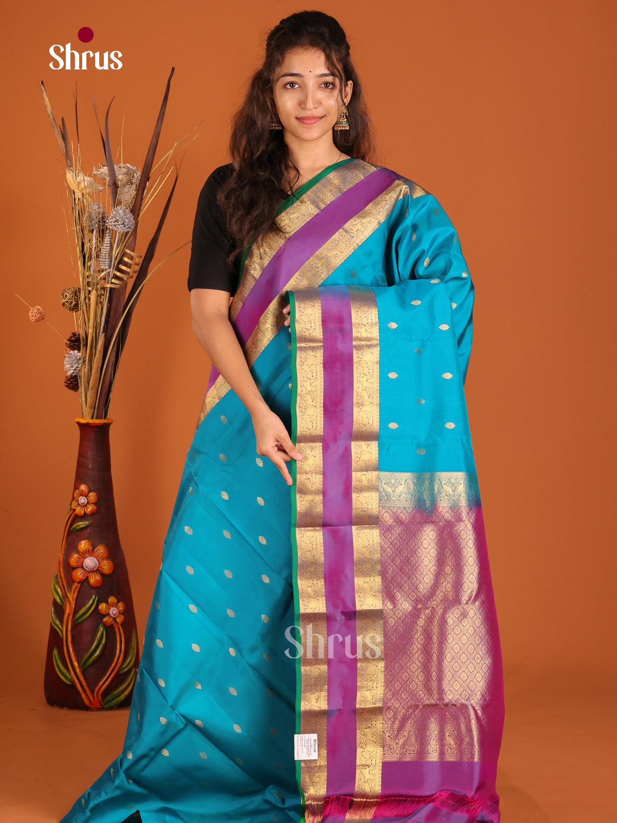 Blue & Purple - Kanchipuram-halfpure Saree