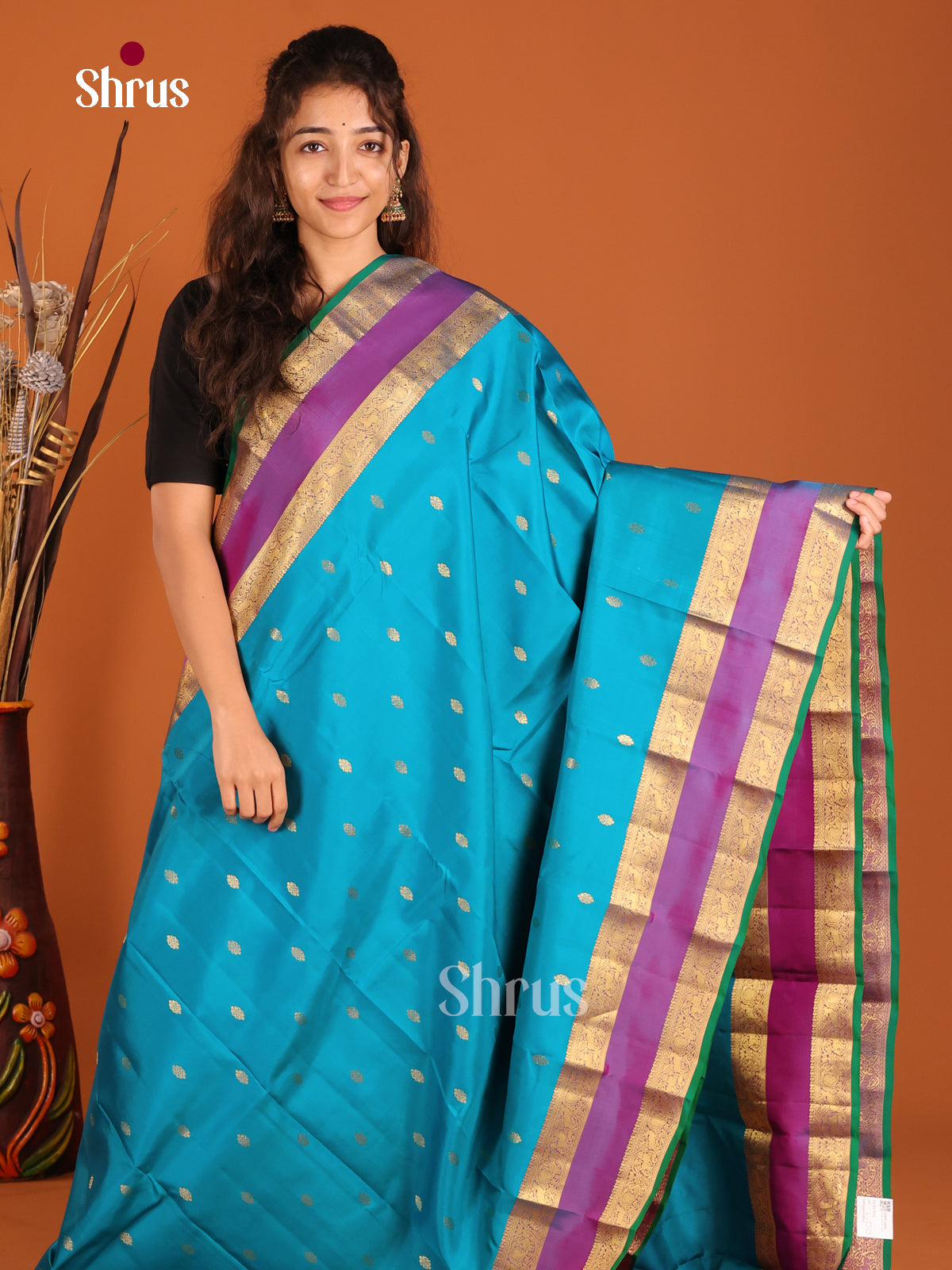 Blue & Purple - Kanchipuram-halfpure Saree