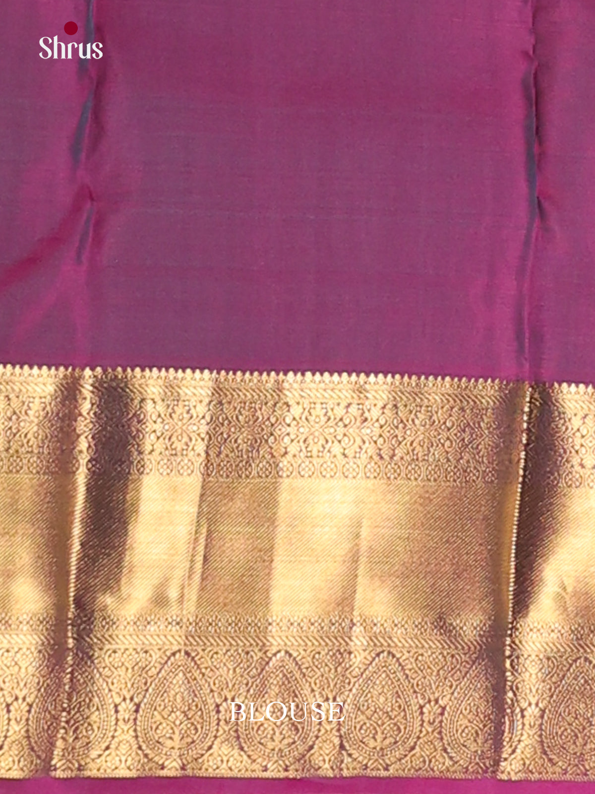 Blue & Purple - Kanchipuram-halfpure Saree
