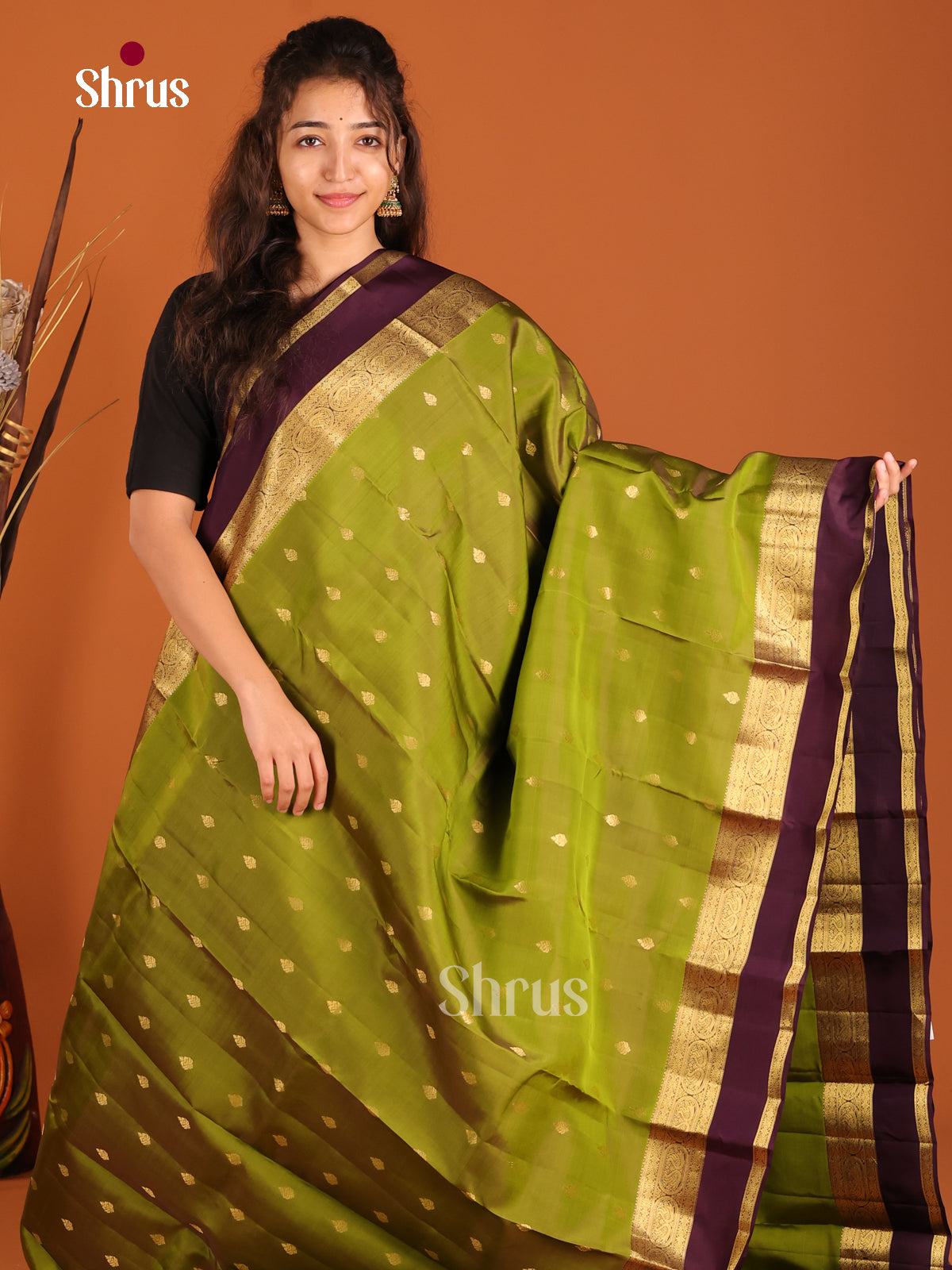 Green & Brown - Kanchipuram-halfpure Saree - Shop on Shrus.com