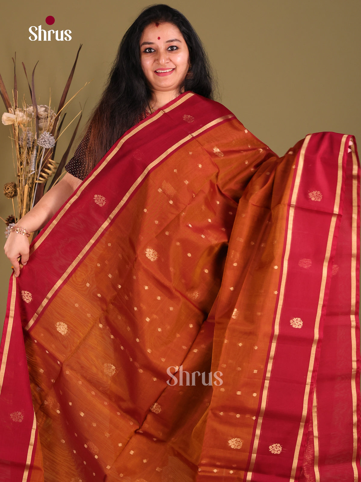 DGS18021 - Silk Cotton Saree - Shop on Shrus.com
