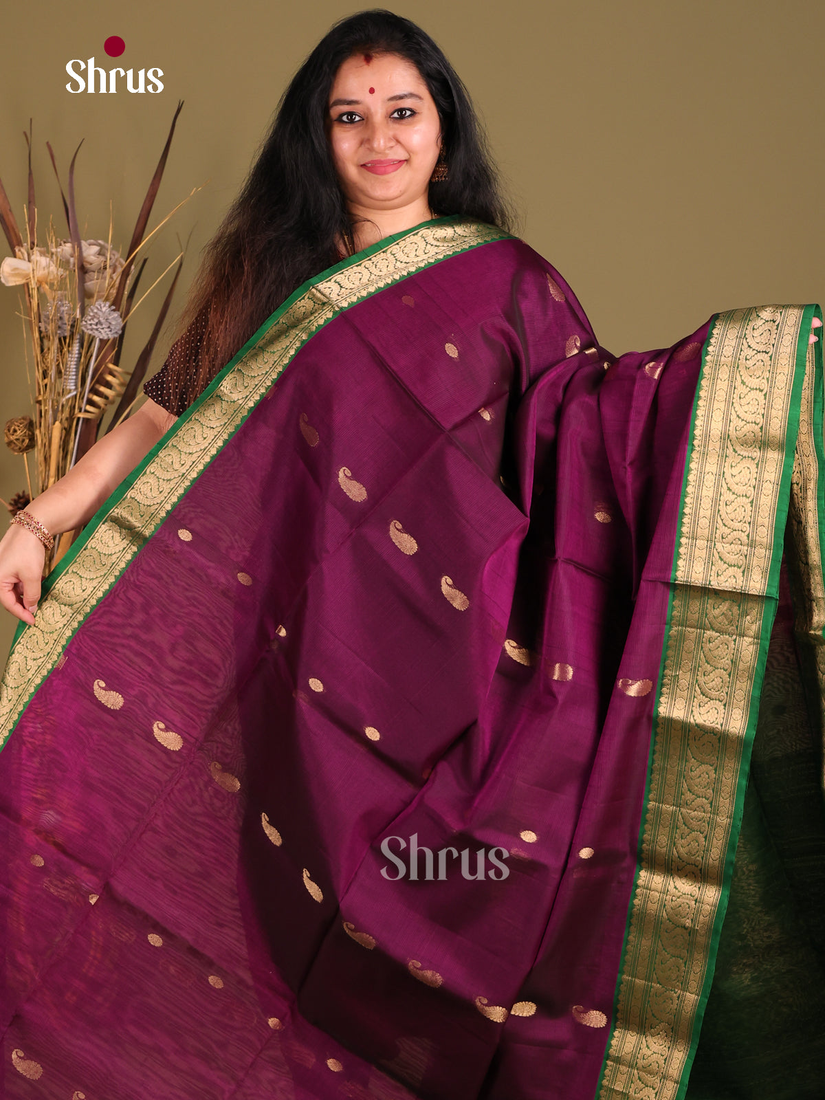 Purple & Green  Silk Cotton Saree with rich zari border - Shop on Shrus.com