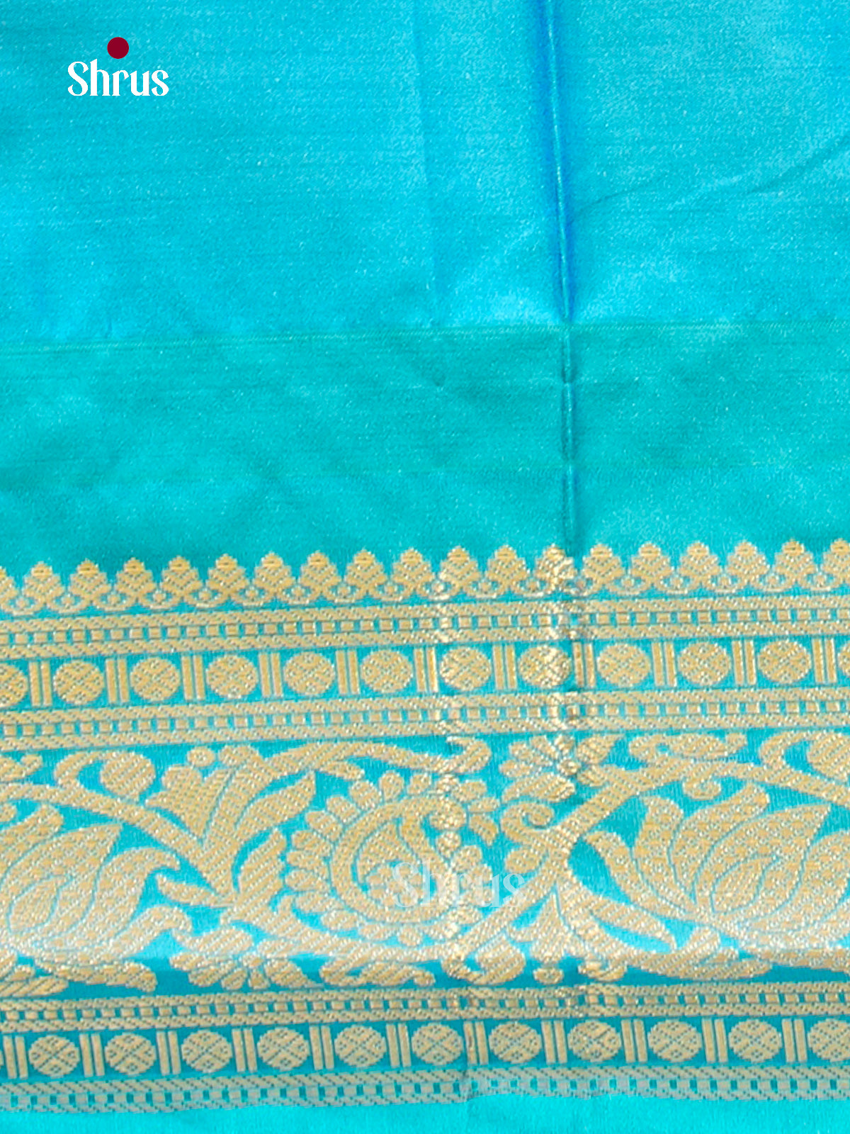 Kanchipuram-halfpure-DGS18046